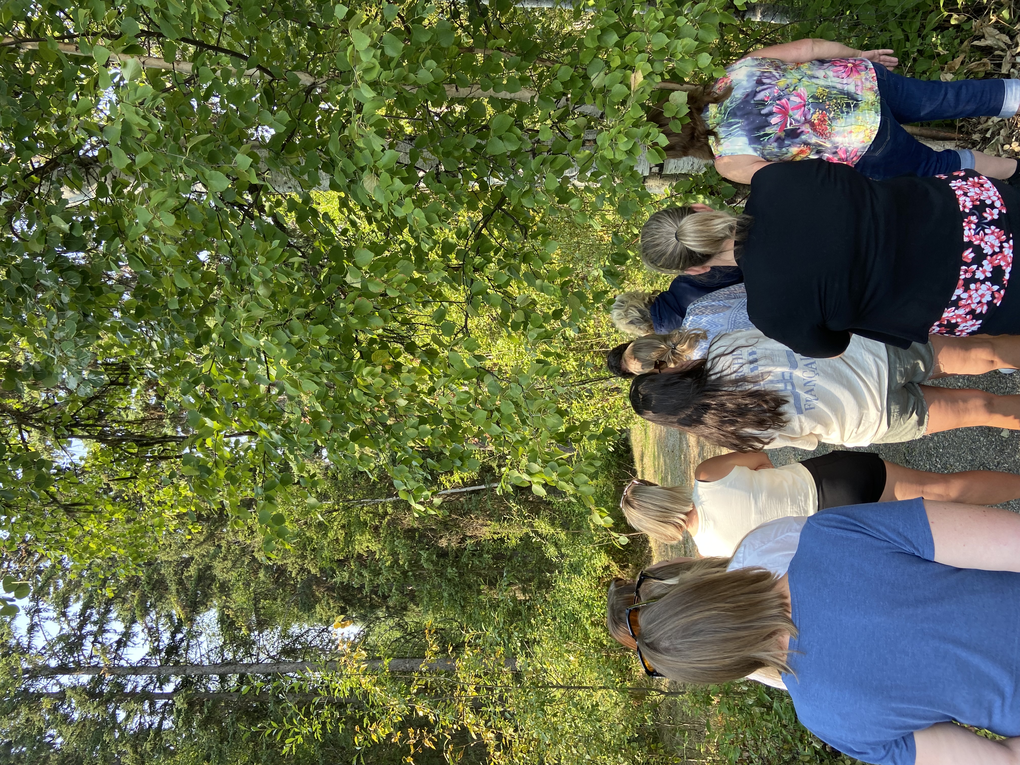 BL and Likely Staff learn 1 Sari Small