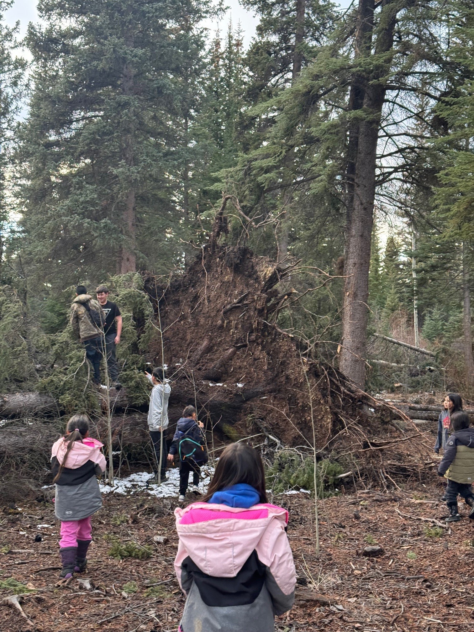 Finding our roots Ben McIntosh