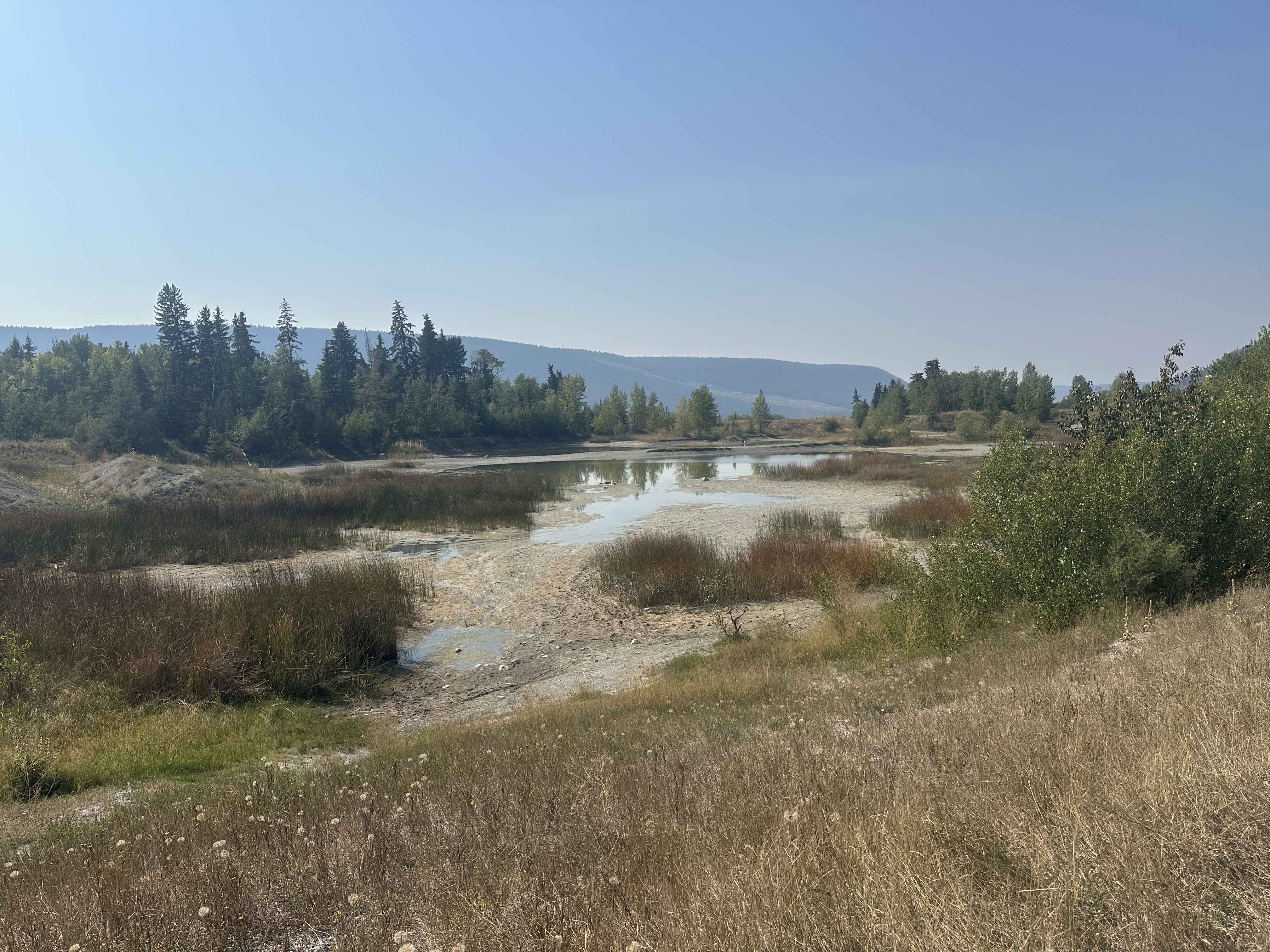Staff Learning at the Dairy Fields tess riley