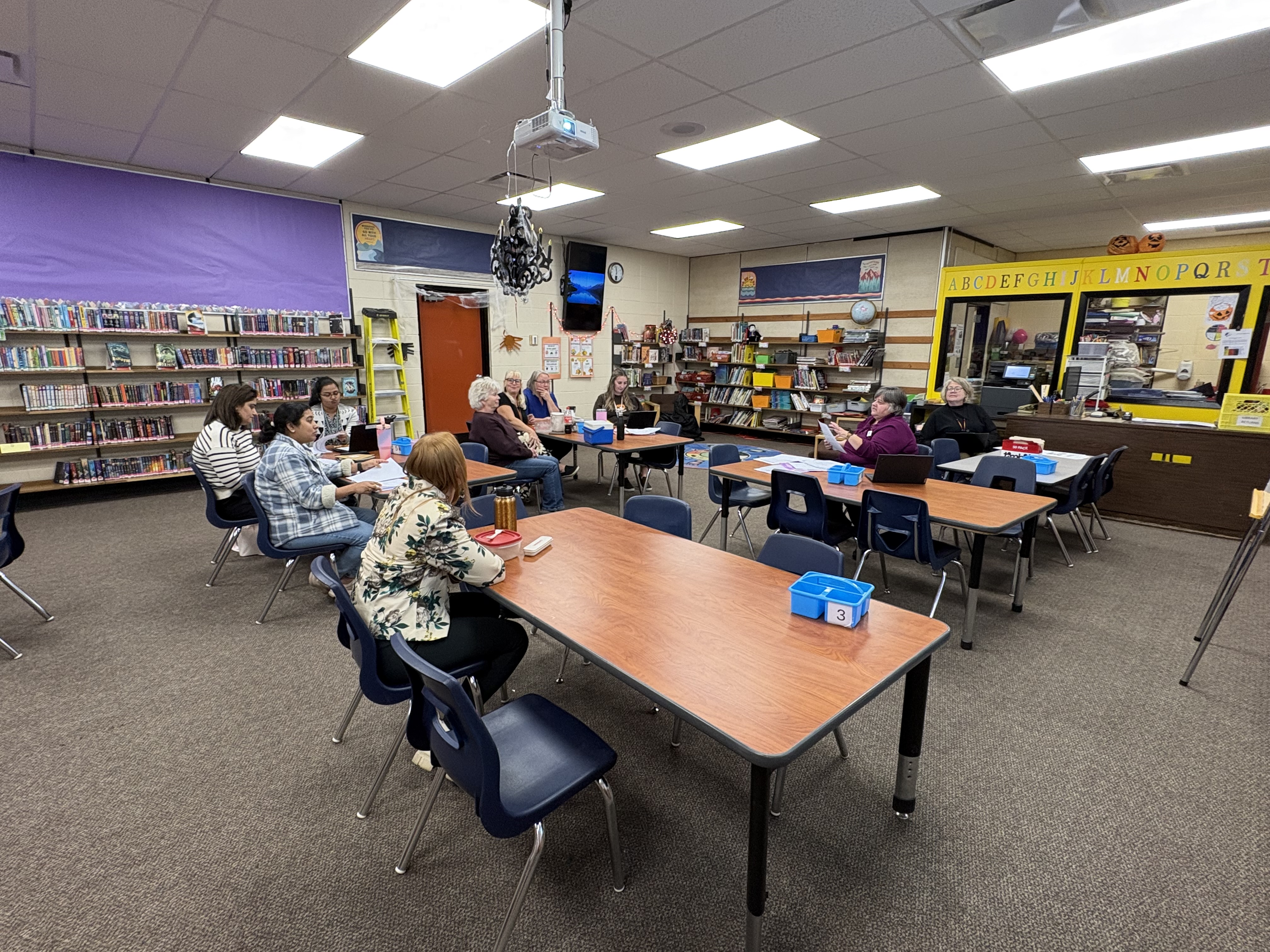 Literacy Assessment ashley posnikoff