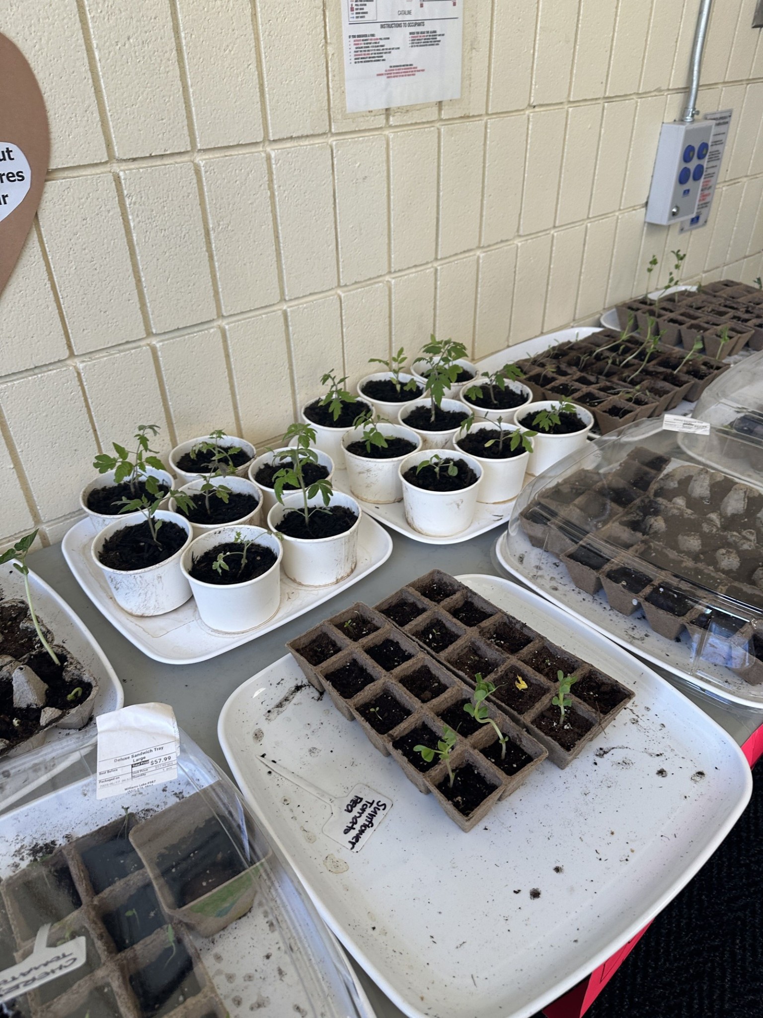 Garden Club Going Strong