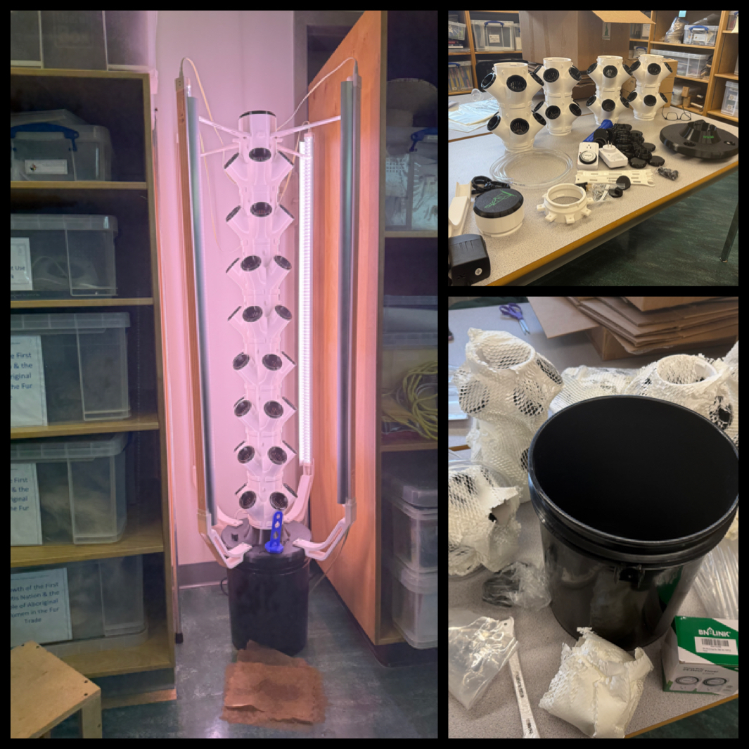 IMG 7431 Dancing Water Sandy