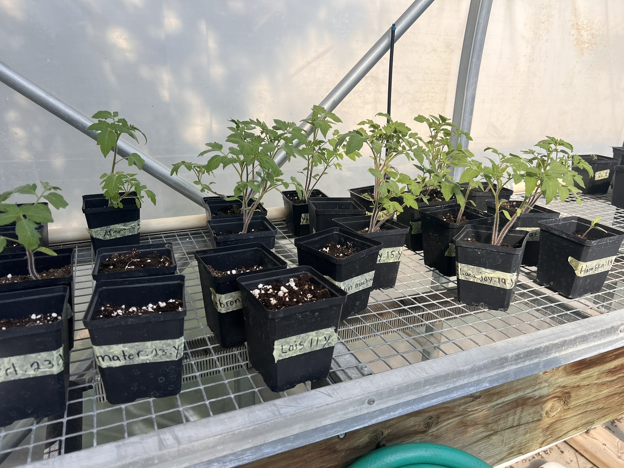Garden Club is Growing 1