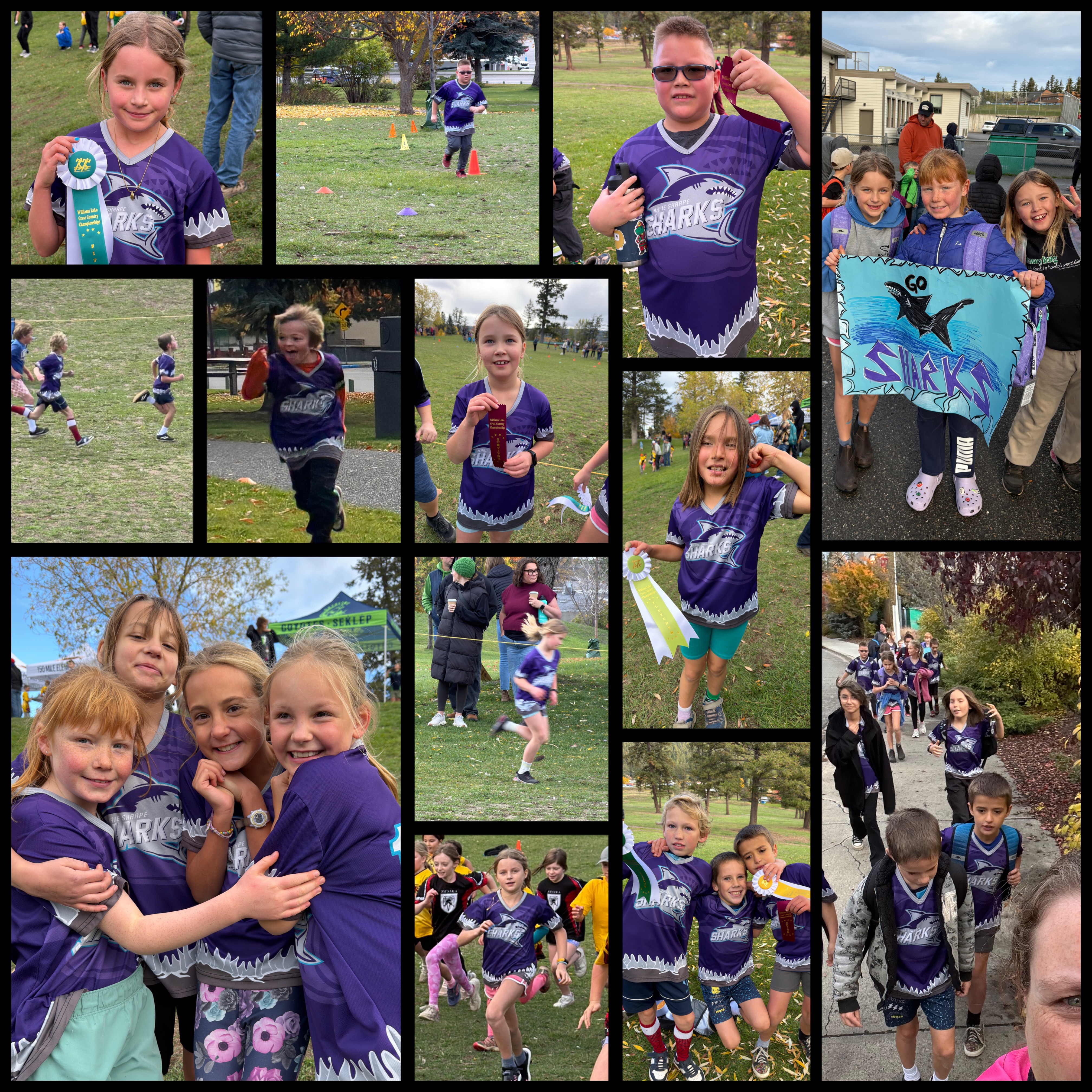 Our Sharks Go the Distance! 1 marina campsall