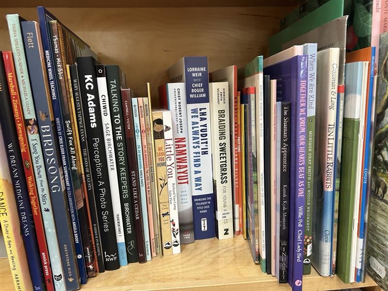 inclusive library 2 kimberley ikebuchi