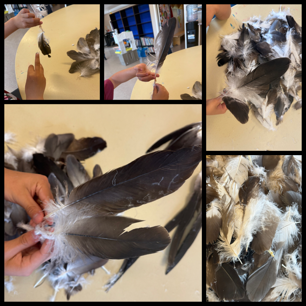 IMG 7430 Dancing Water Sandy