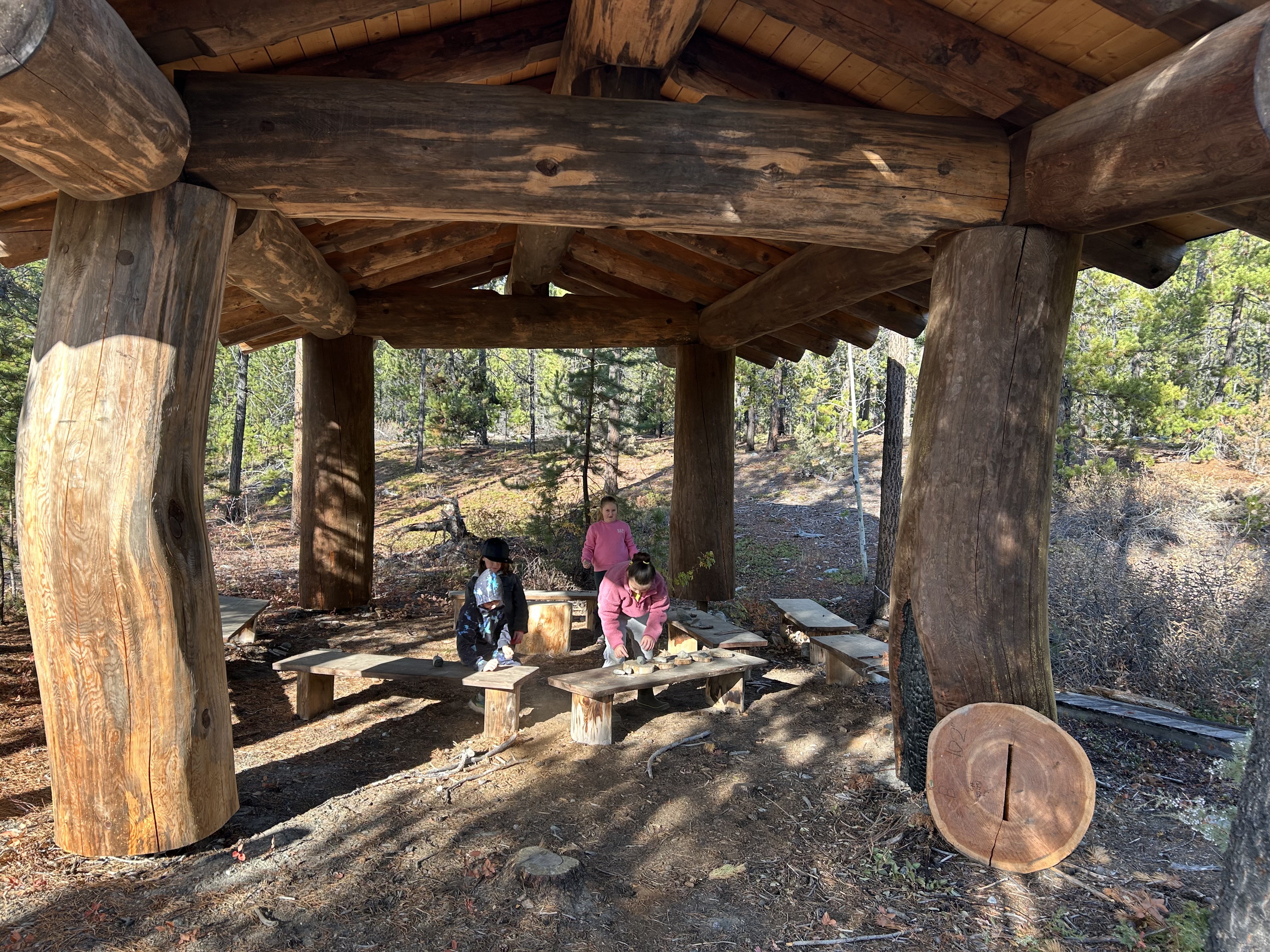 Outdoor Patterns kimberley ikebuchi