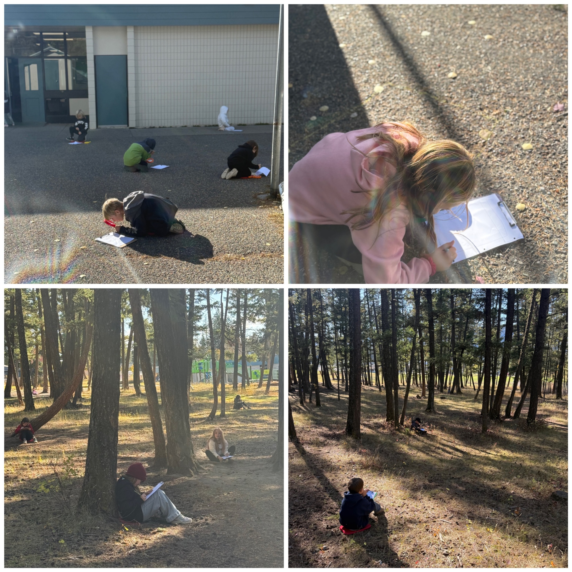 IMG 4100 dwayne benvin