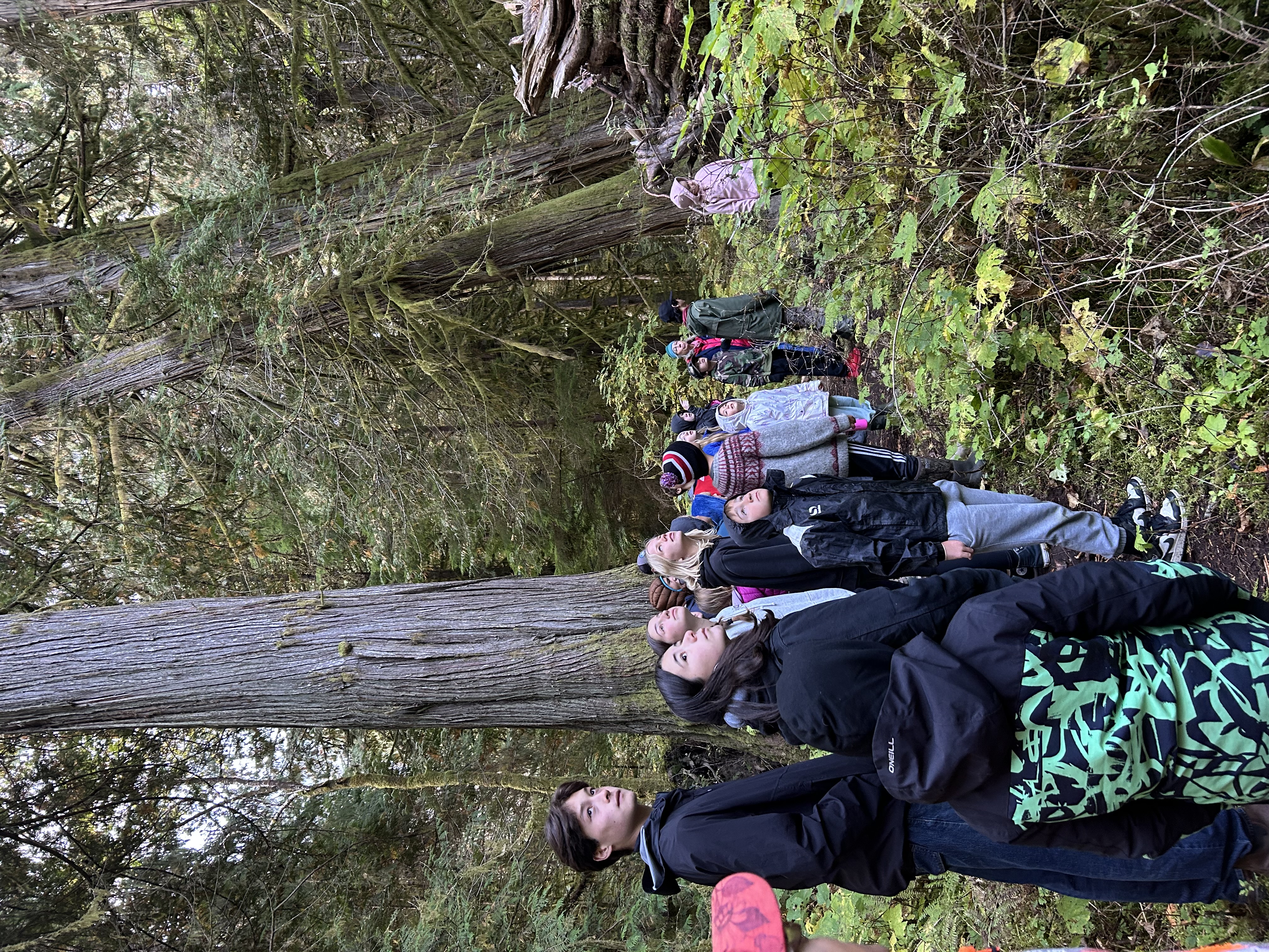 Big Cedars Trail kimberley ikebuchi