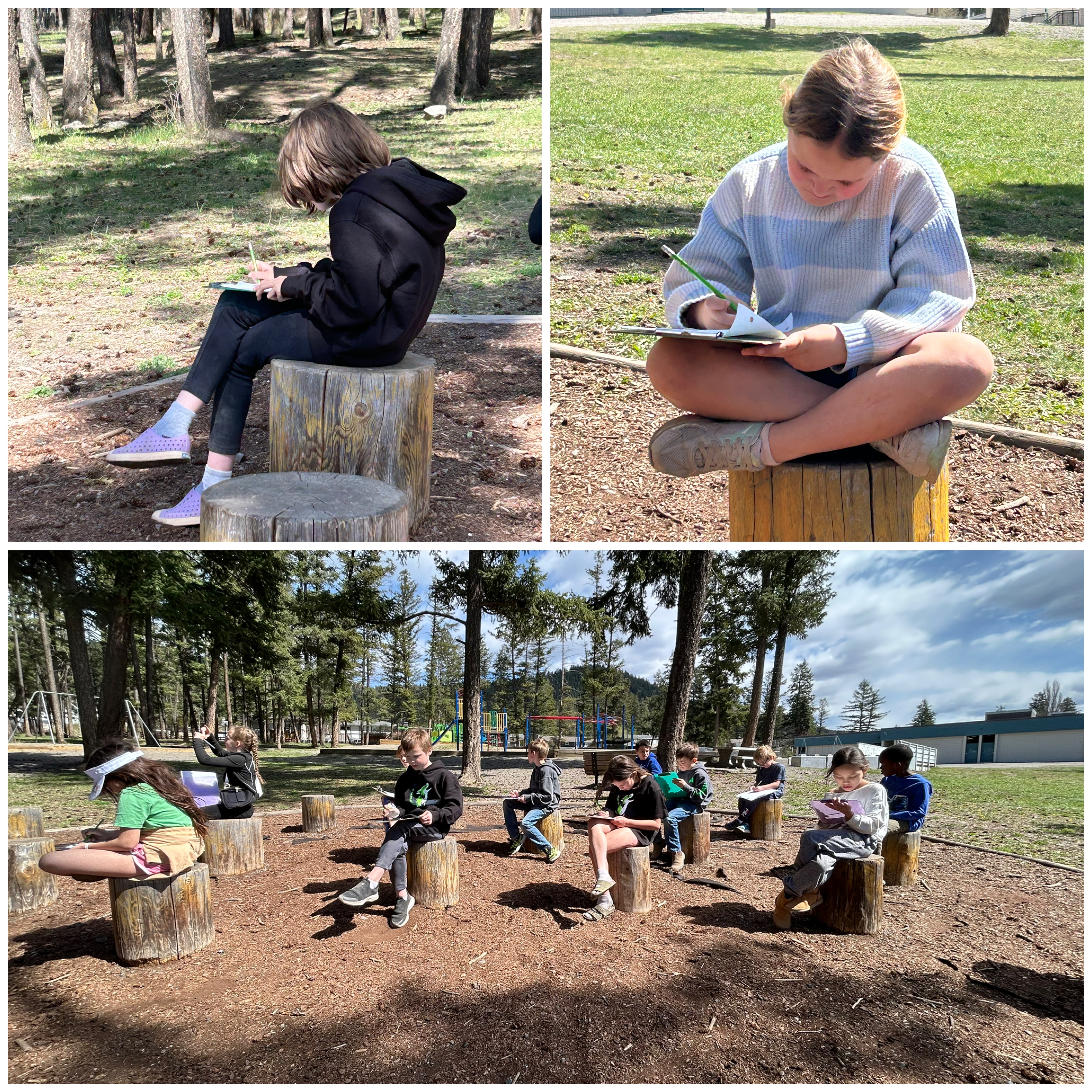 Outdoor Classroom2 dwayne benvin