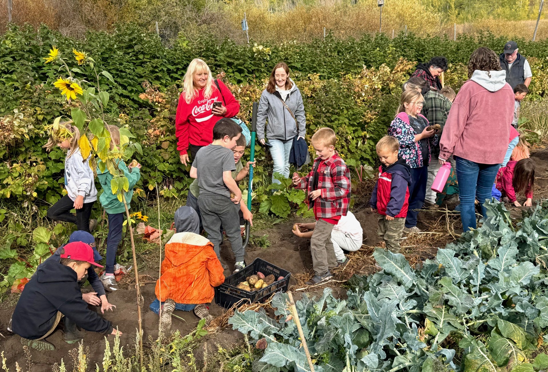 Farm 4 Murray Helmer