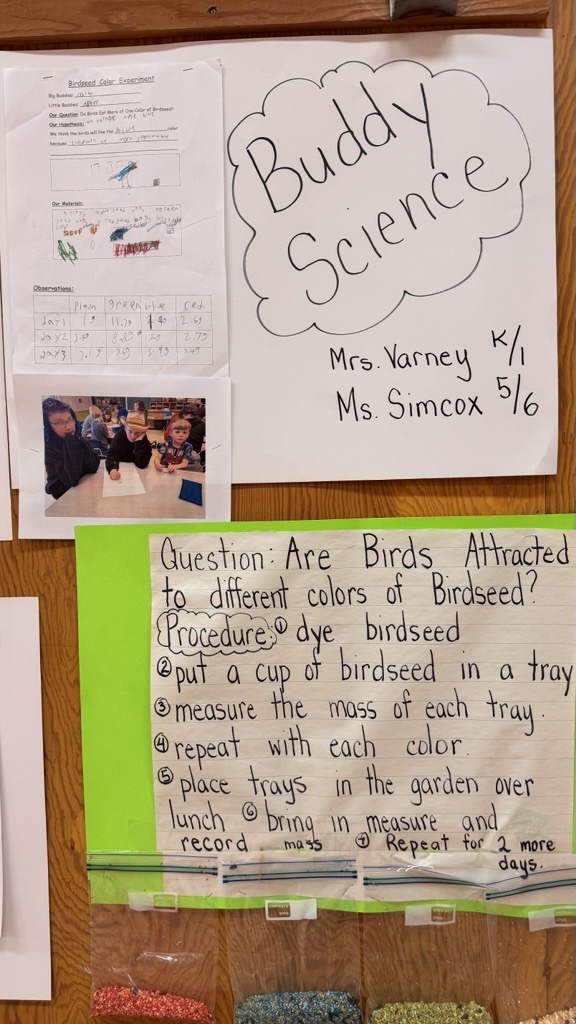 Science Fair 3 crystaldawn langton