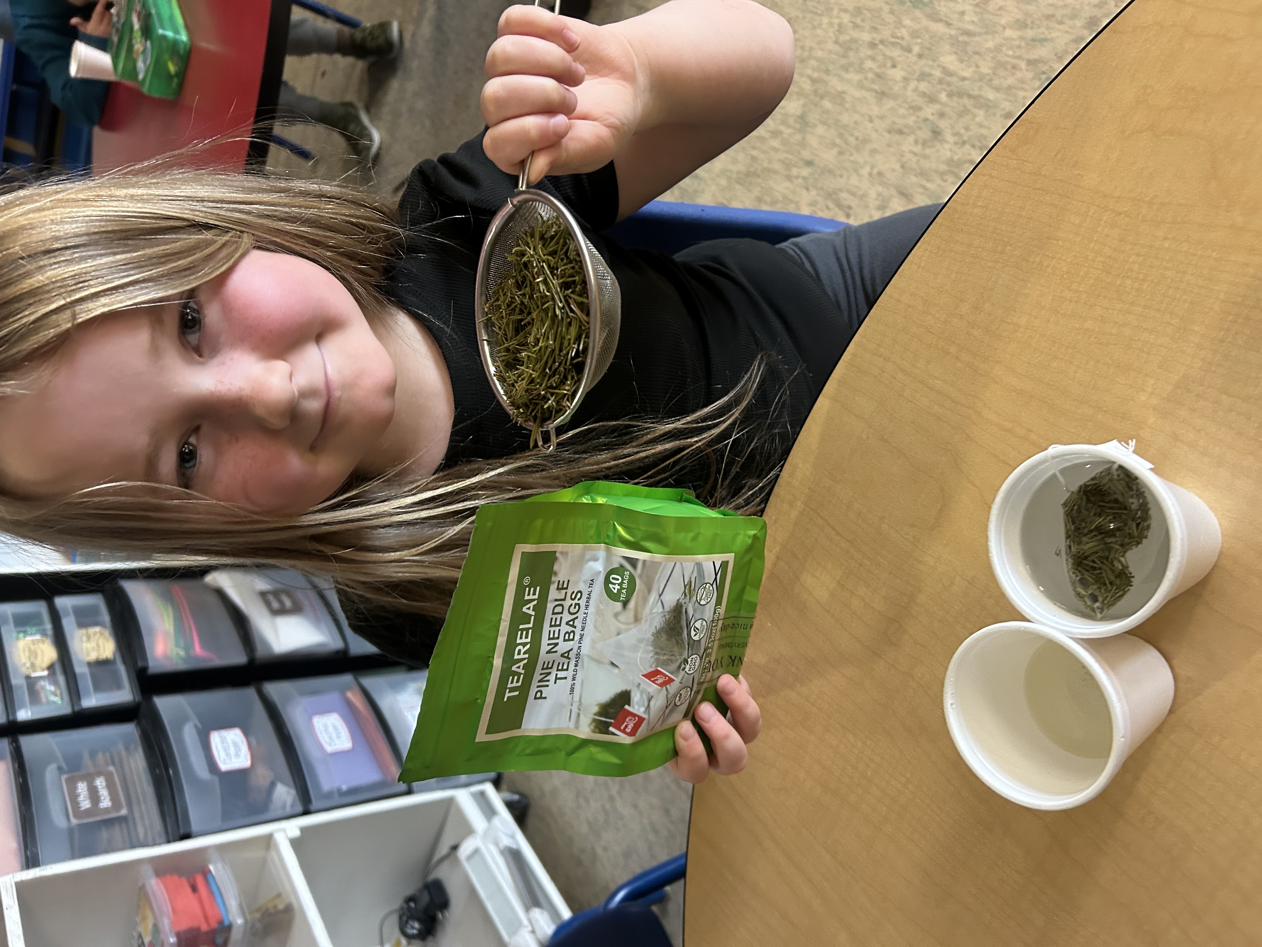 Pine Needle Tea Making Debbie Dixon