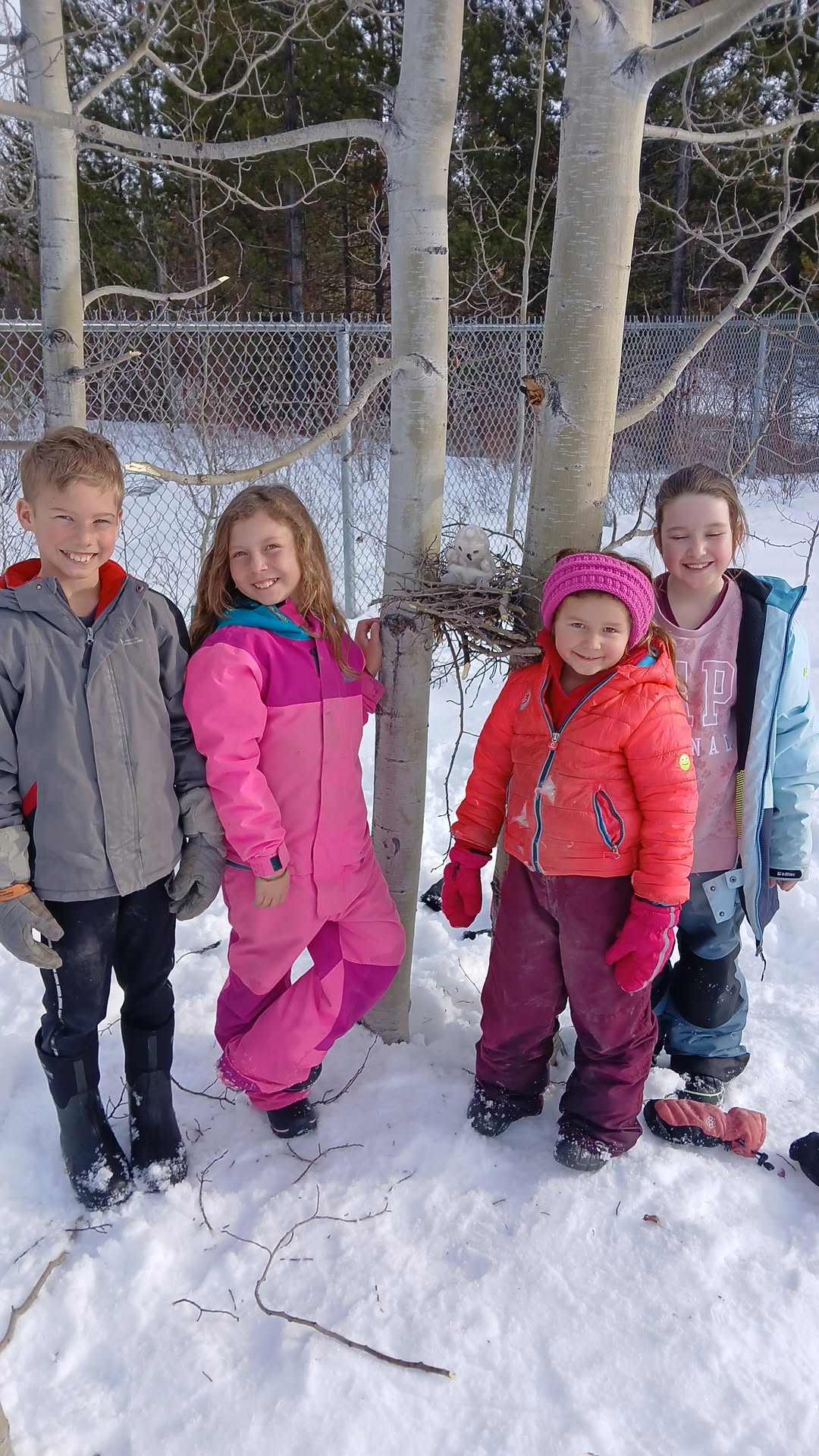 If You Build It, They Will Come Bonnie Sauder