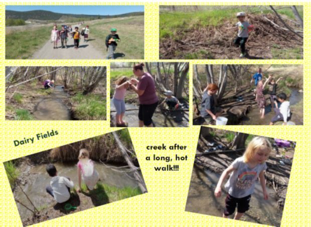 Dairy Fields Adventures