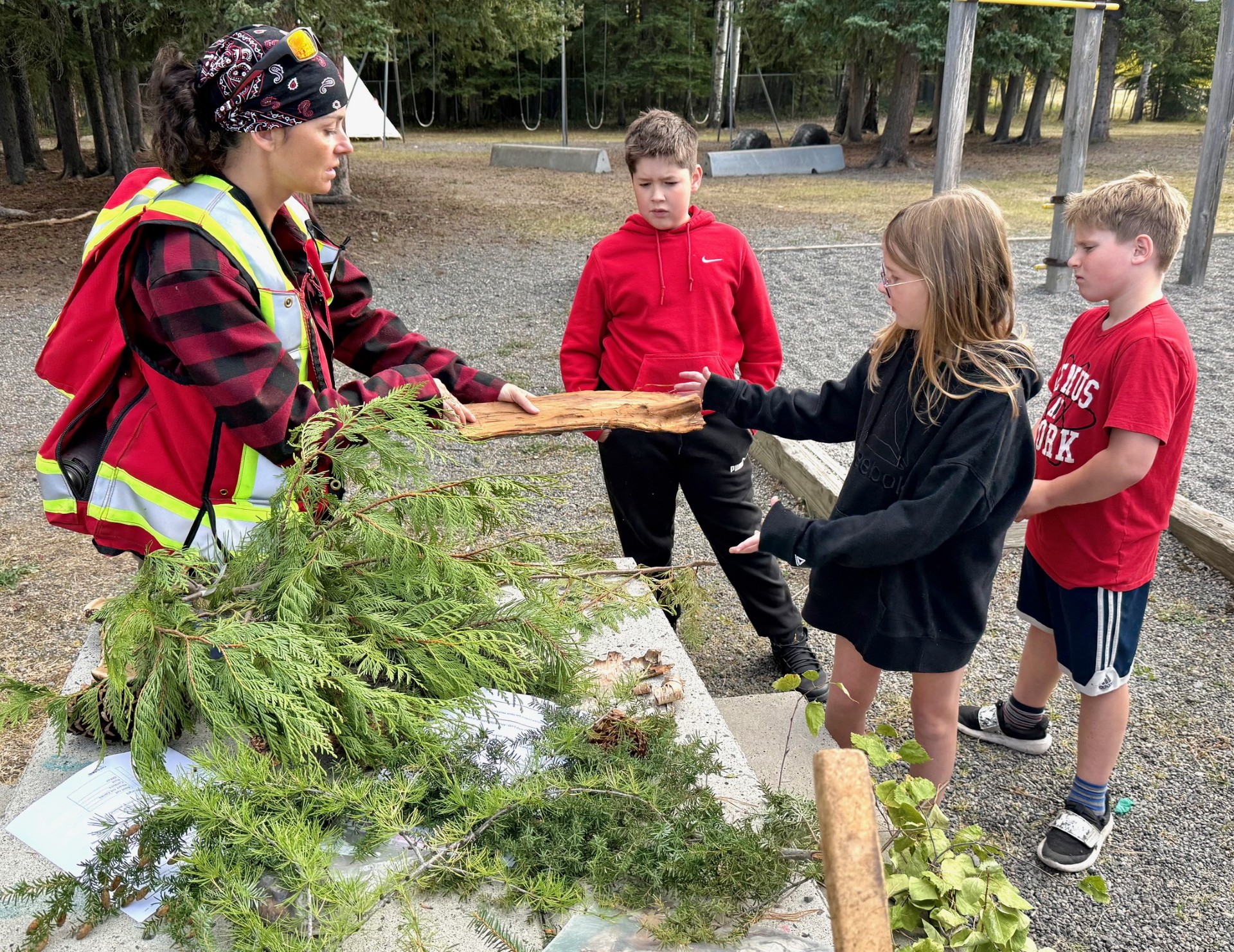 Forestry 1 Murray Helmer