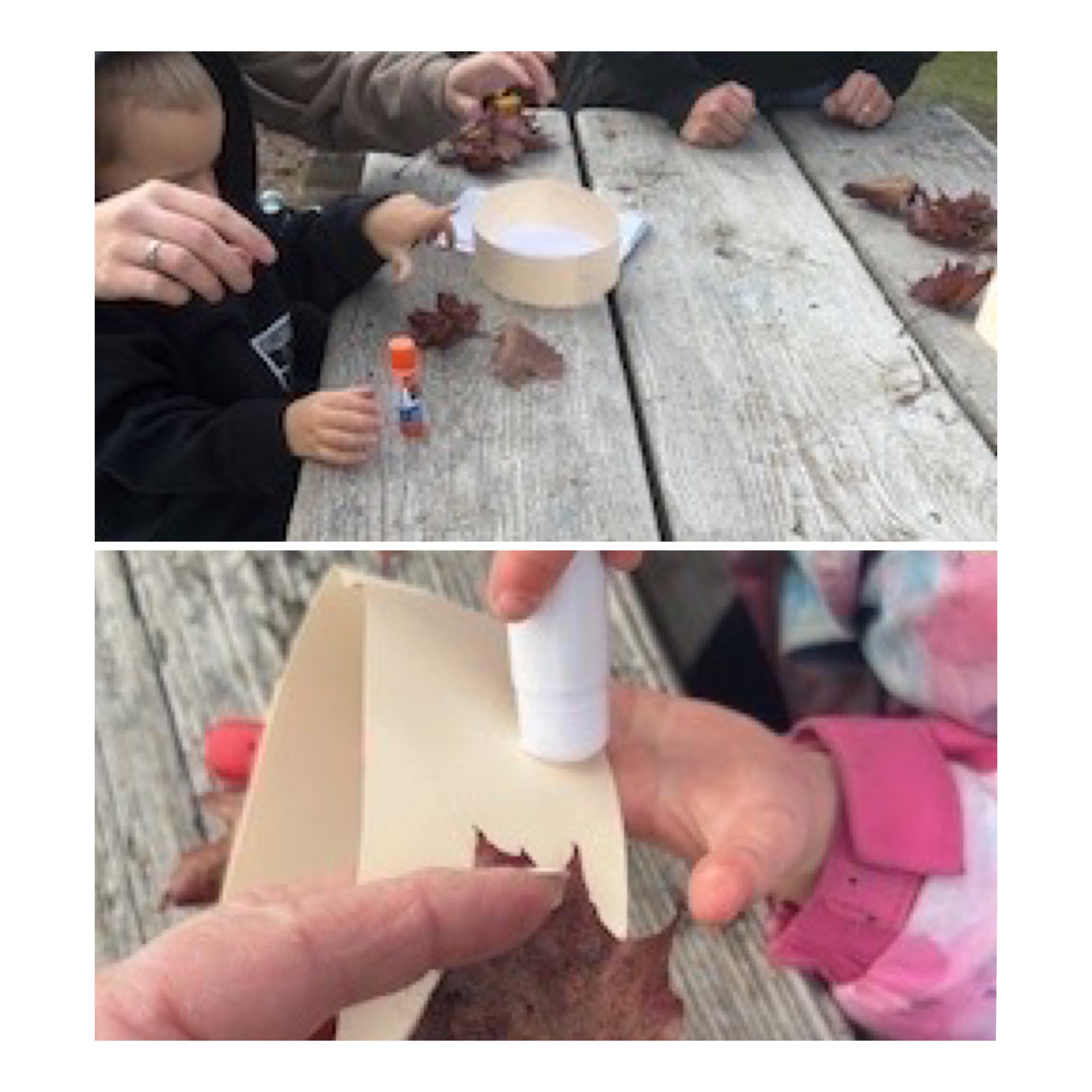 Take Me Outside For Learning Day 4 Leaf Crowns dwayne benvin