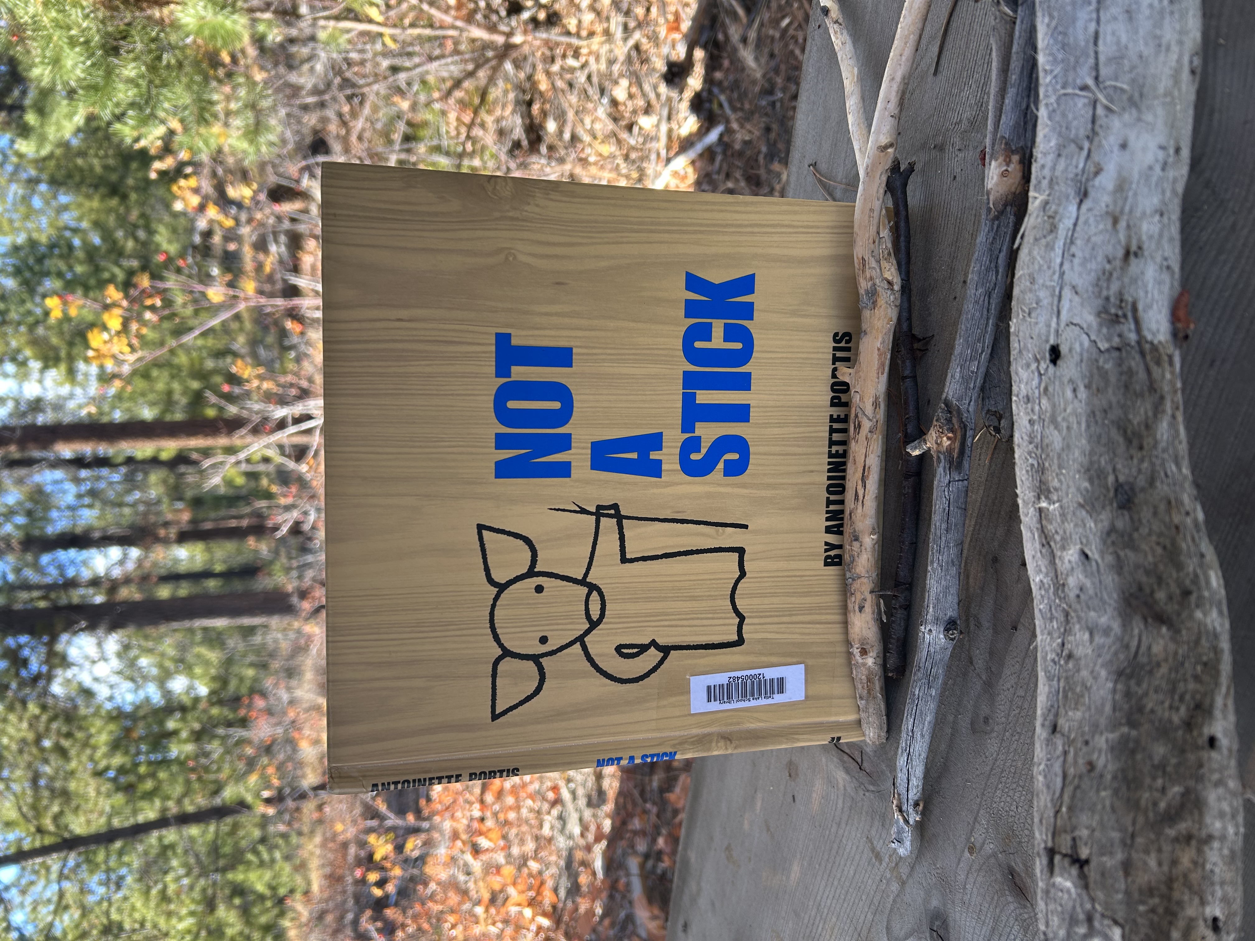 Creativity Outdoors kimberley ikebuchi