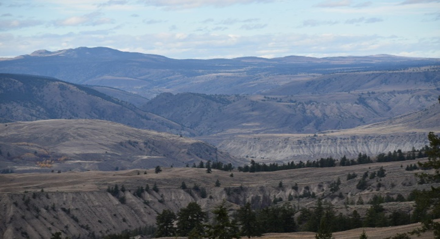 Cariboo Landscape