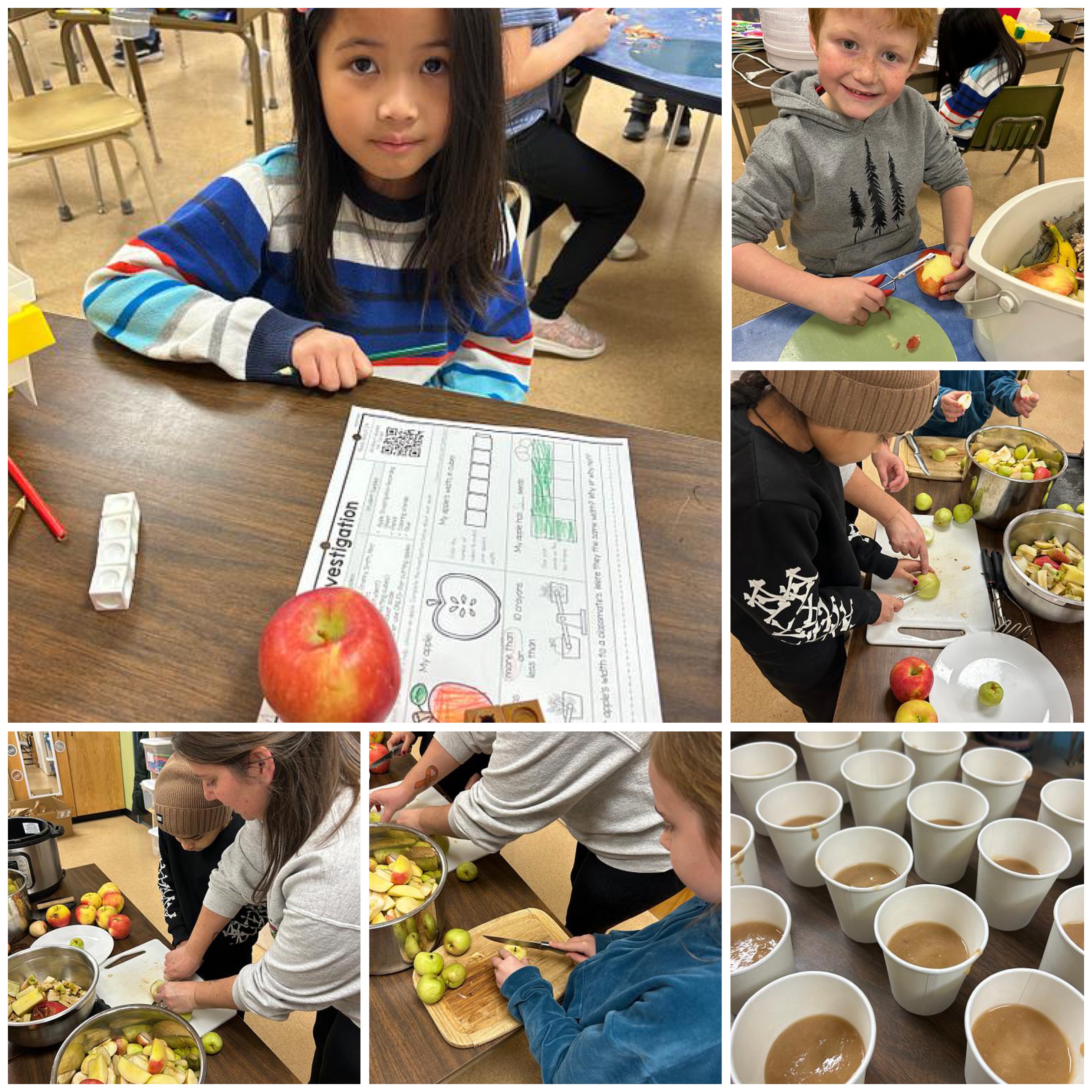 From Tree to Classroom1 dwayne benvin