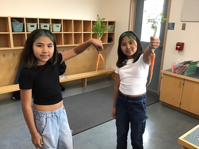 Garden Science 2 helen wight