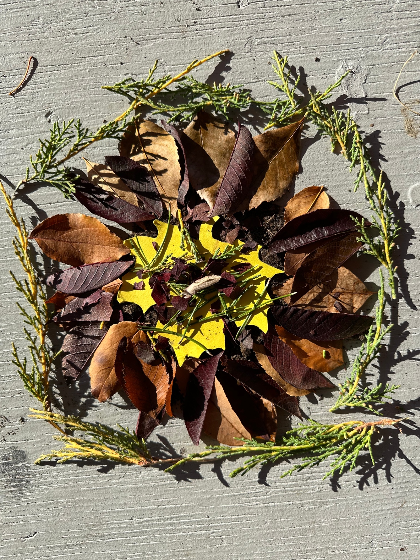 Image 3 Debbie Dixon