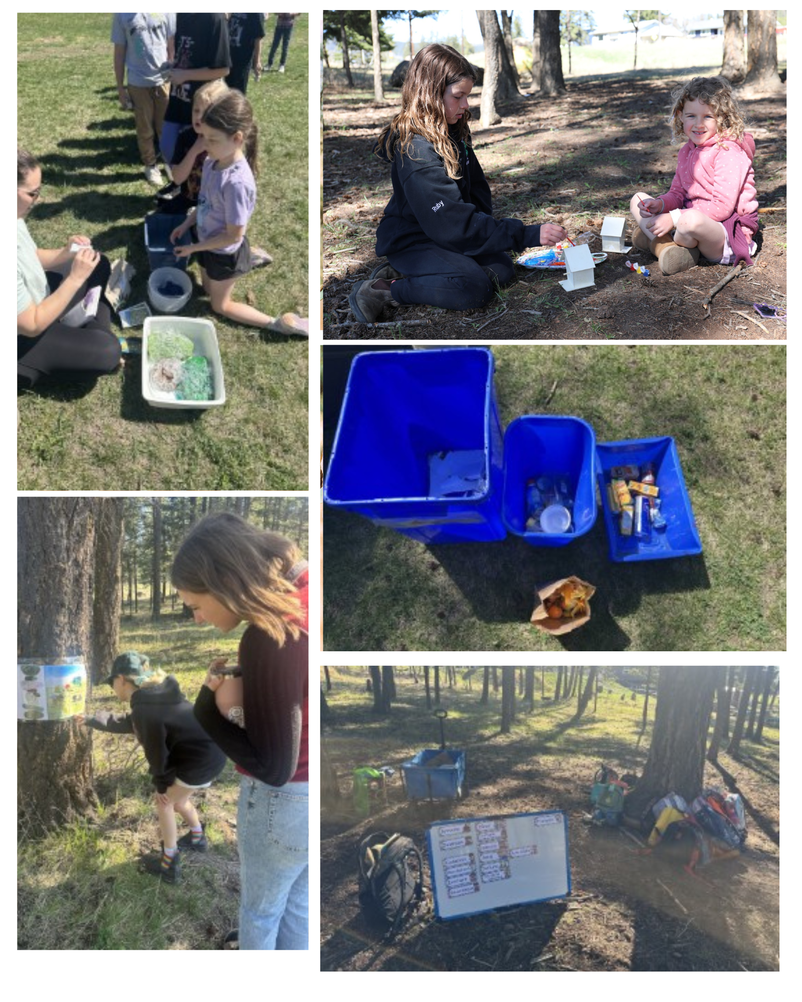 Earth Day Choose Your Own Adventure Challenge kelly glen 1