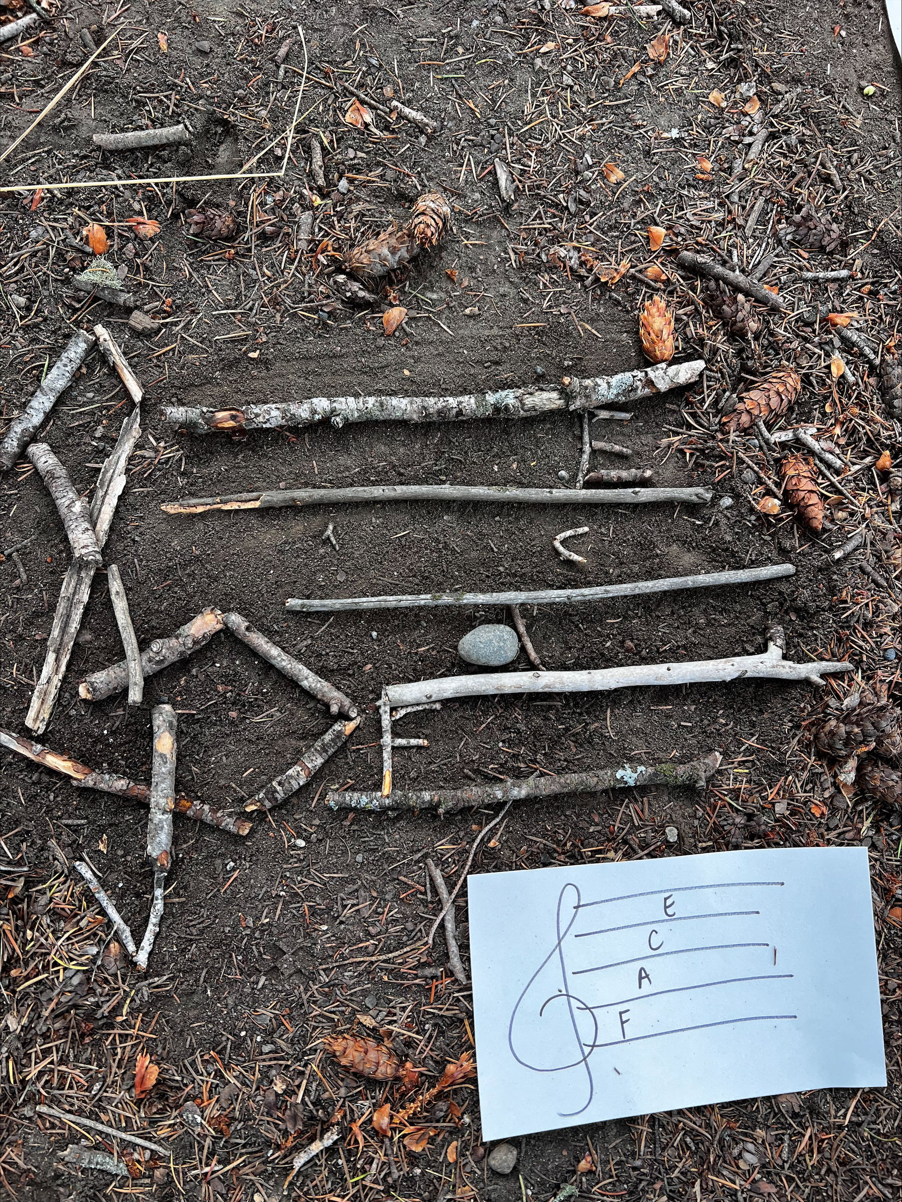 Forest is our Classroom 2 kelly glen