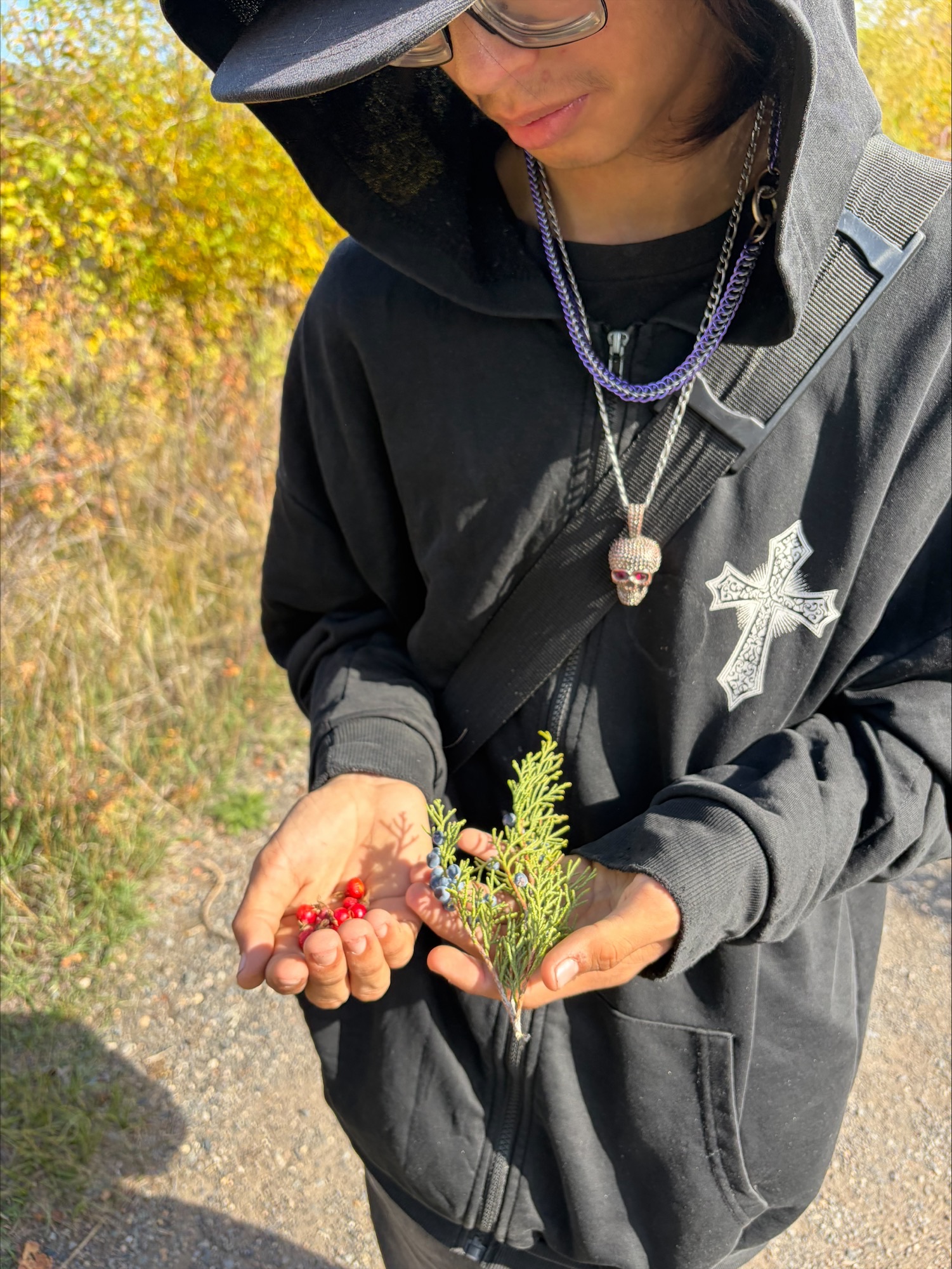 Medicine Picking heather auger
