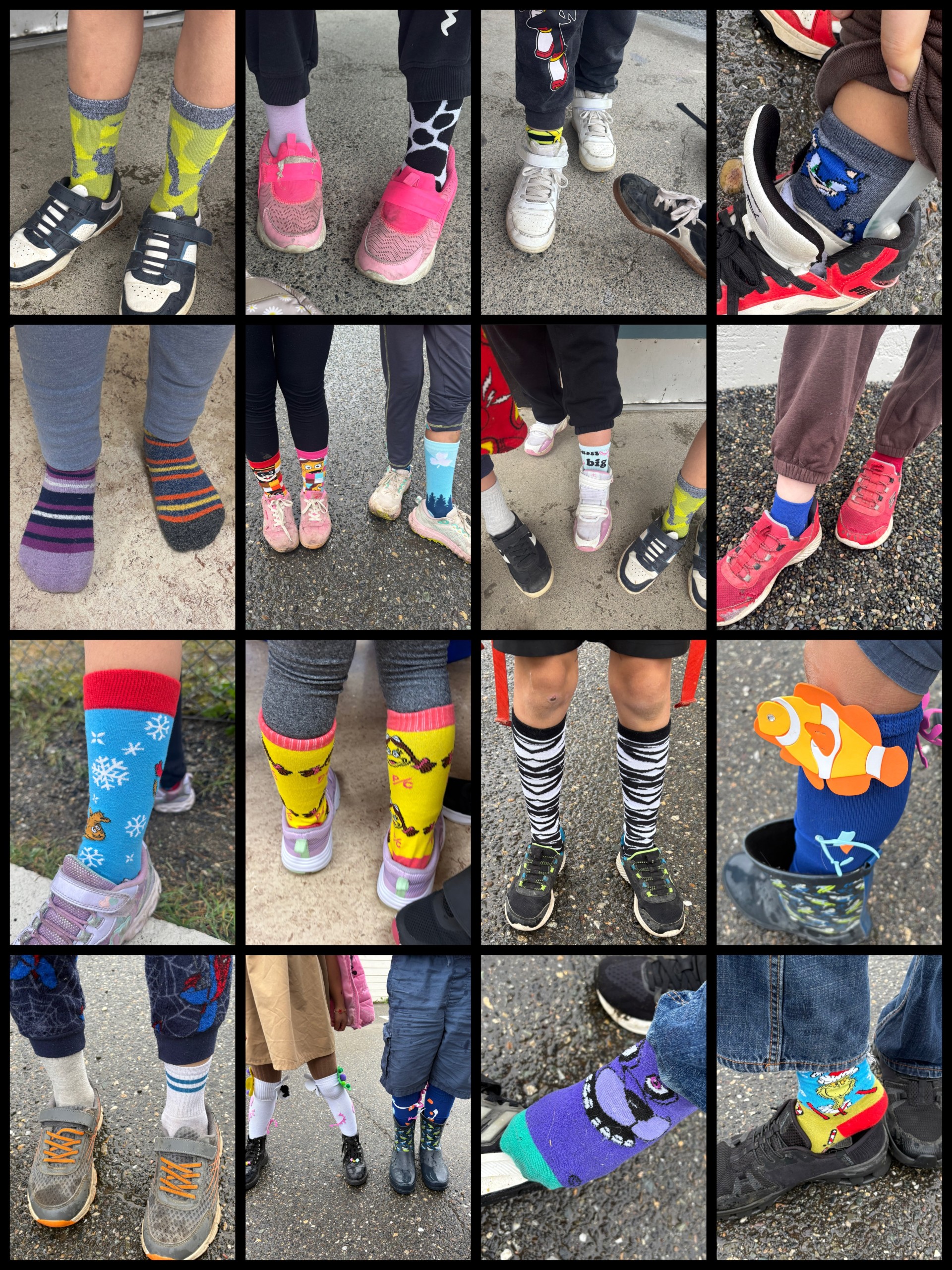 Terry Fox & Socks for Fox 2 marina campsall