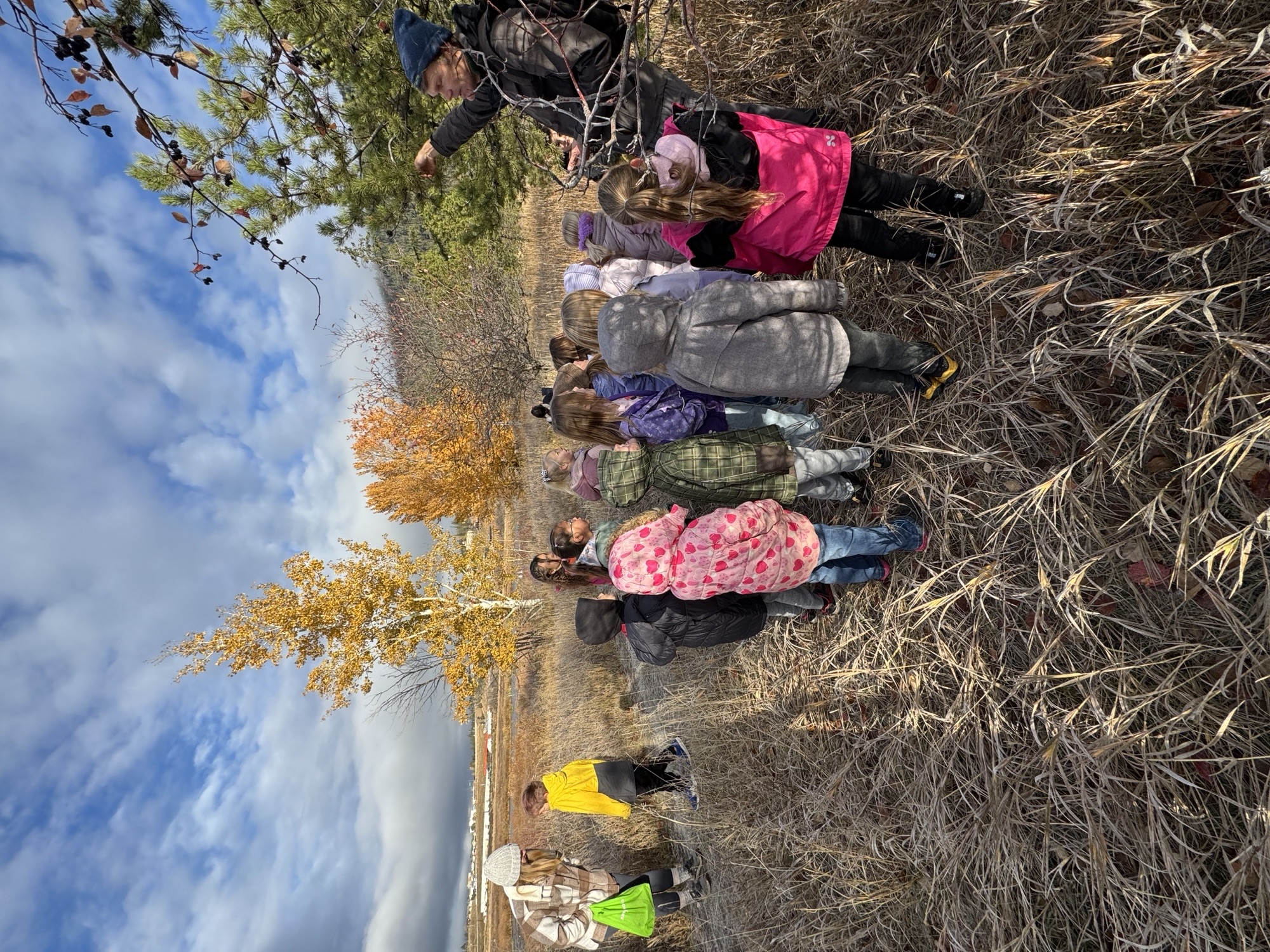 scout island dwayne benvin