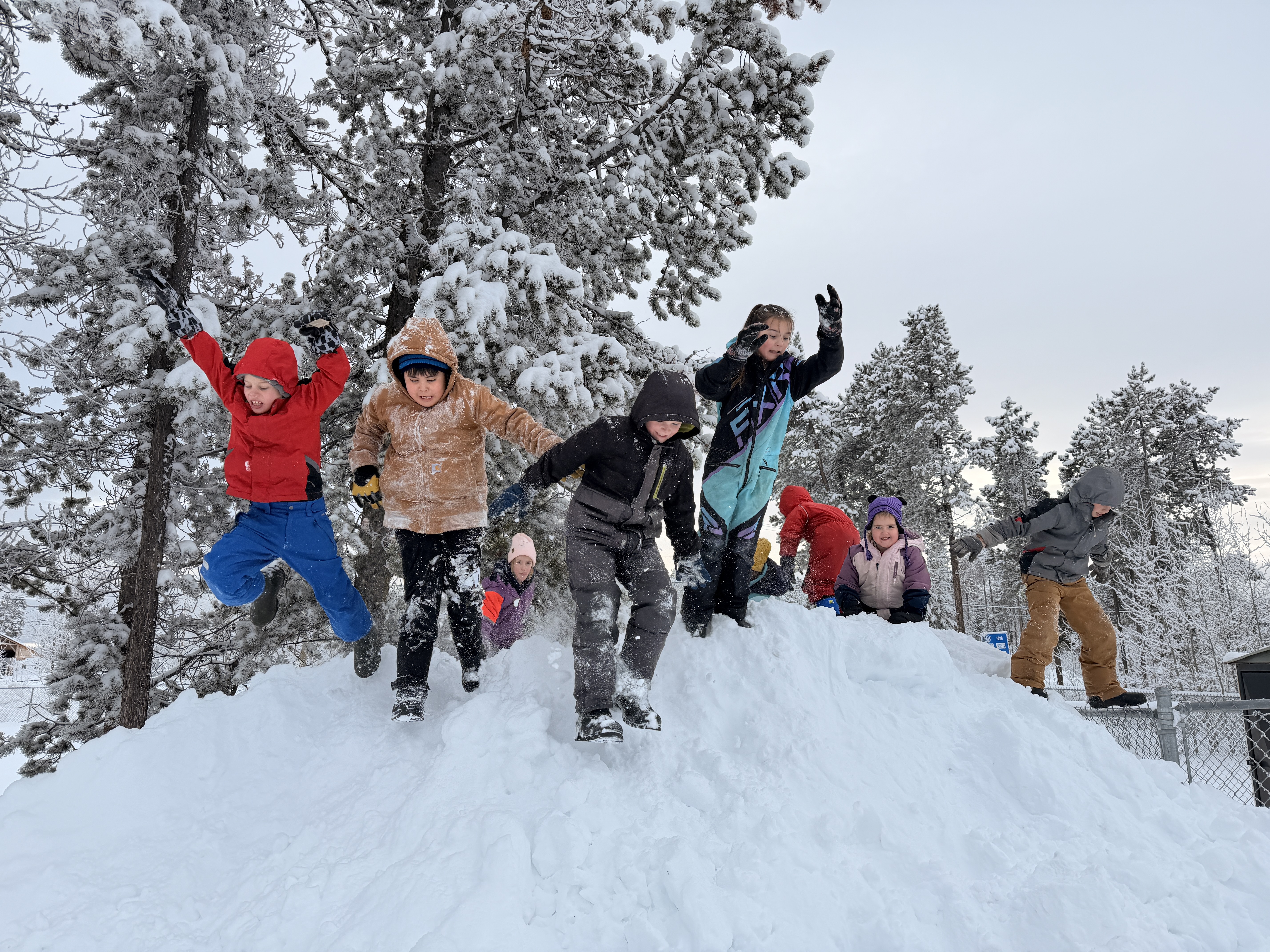 Cannonball1 Bonnie Sauder