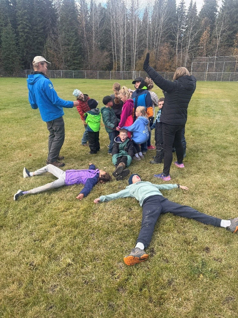 TMO 2 SINC Sari Small