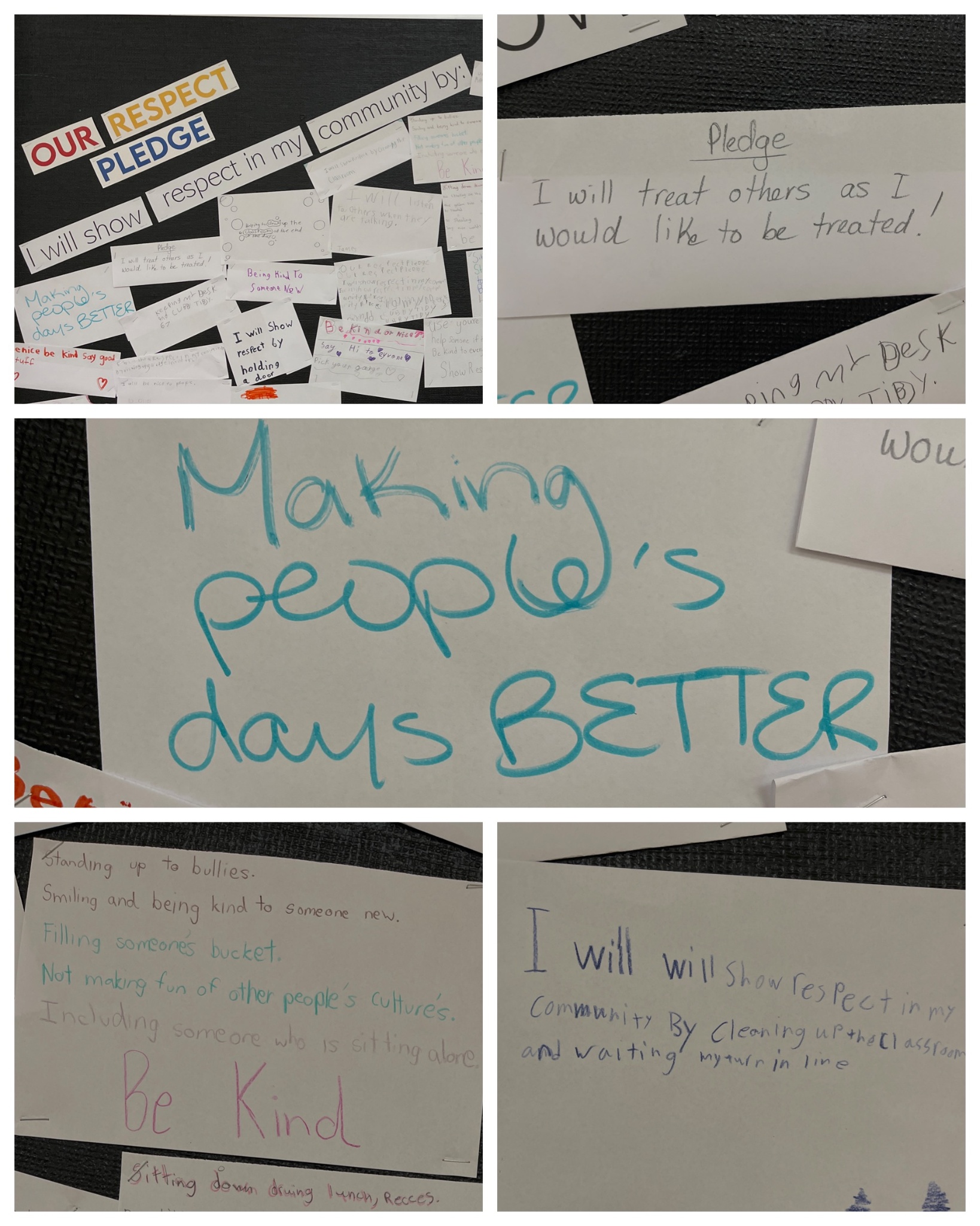 IMG 6803 marina campsall