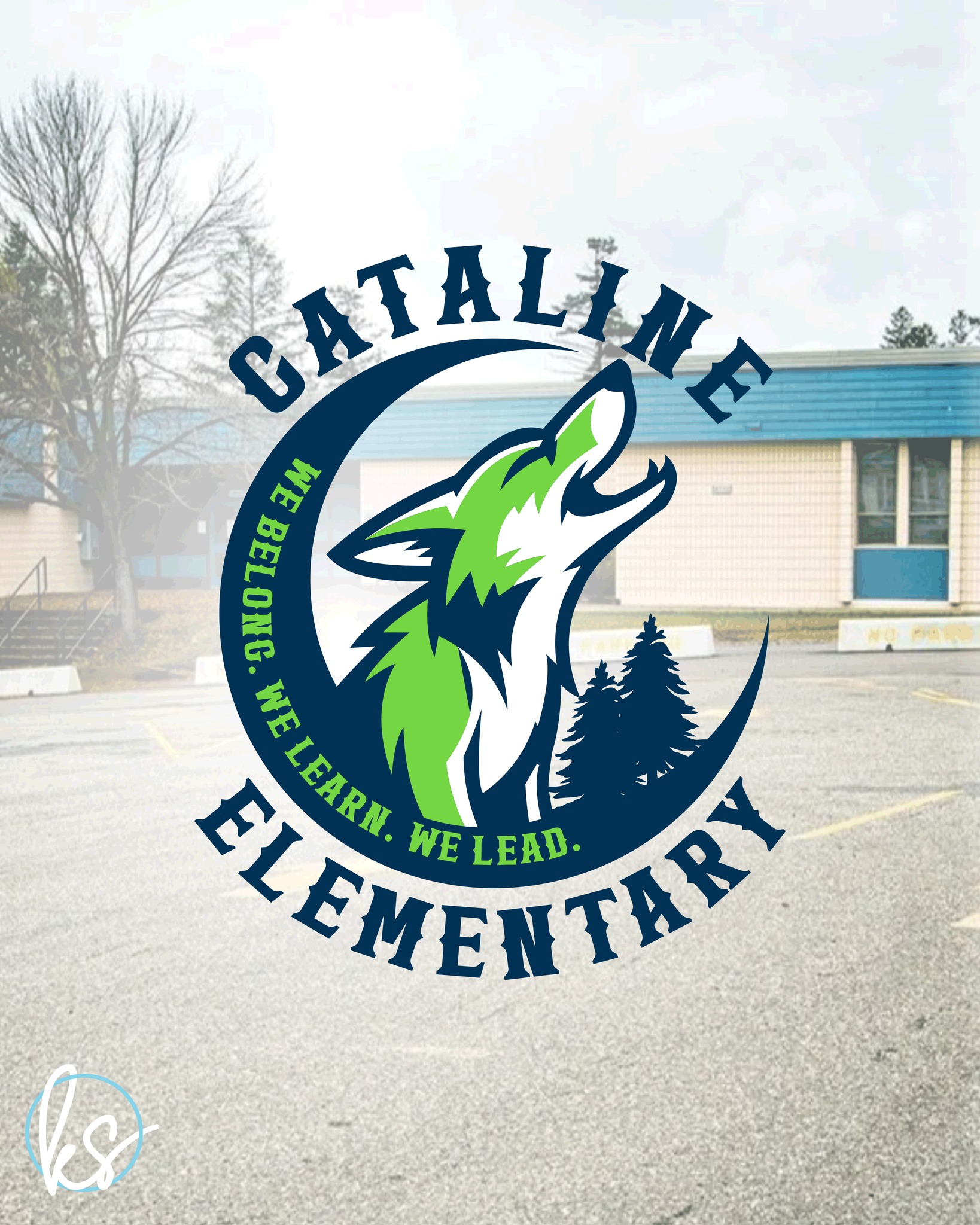 designschool Tess Riley