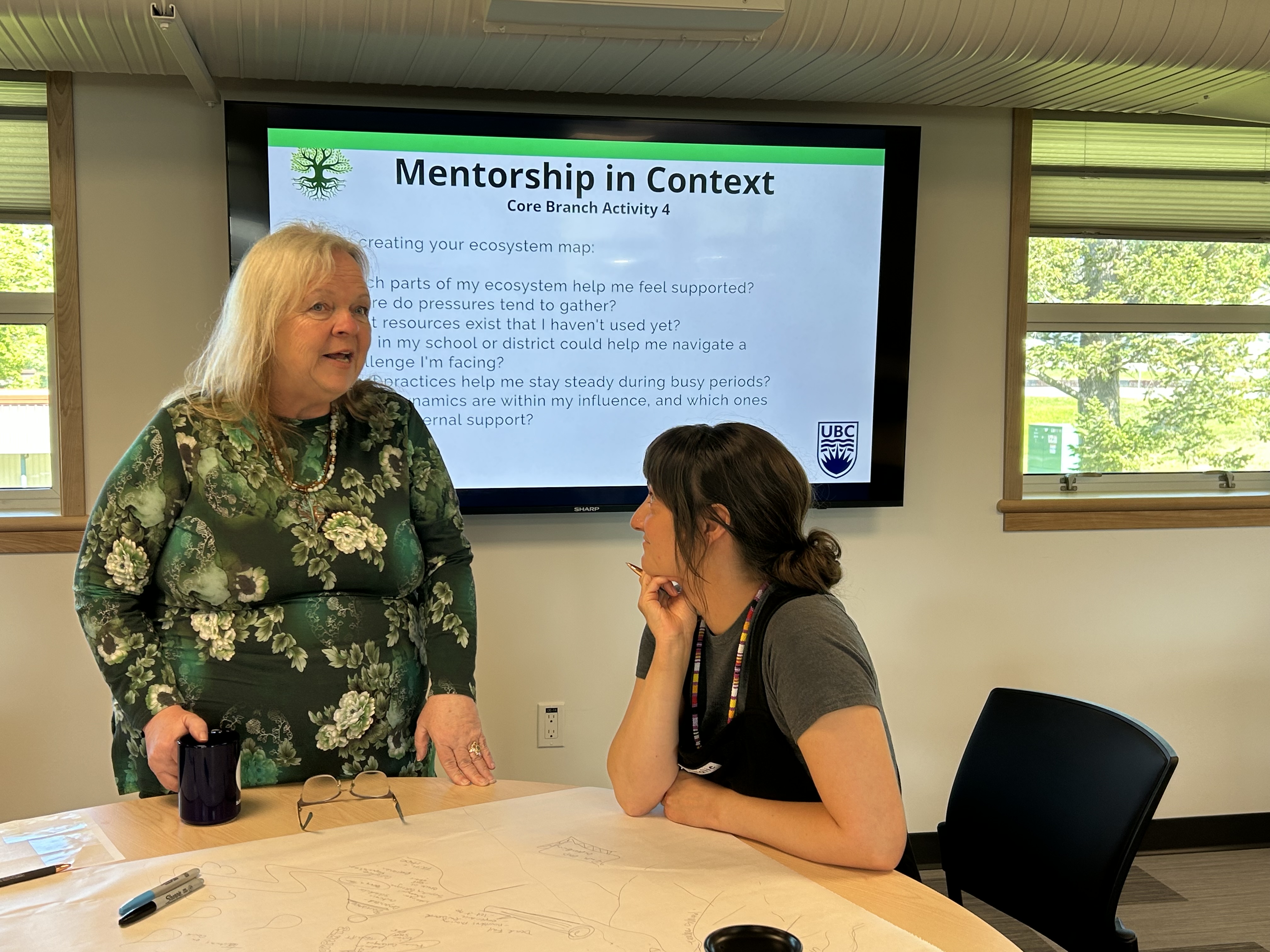 Provincial Teacher Mentorship Pilot Project is Underway at SD27 2