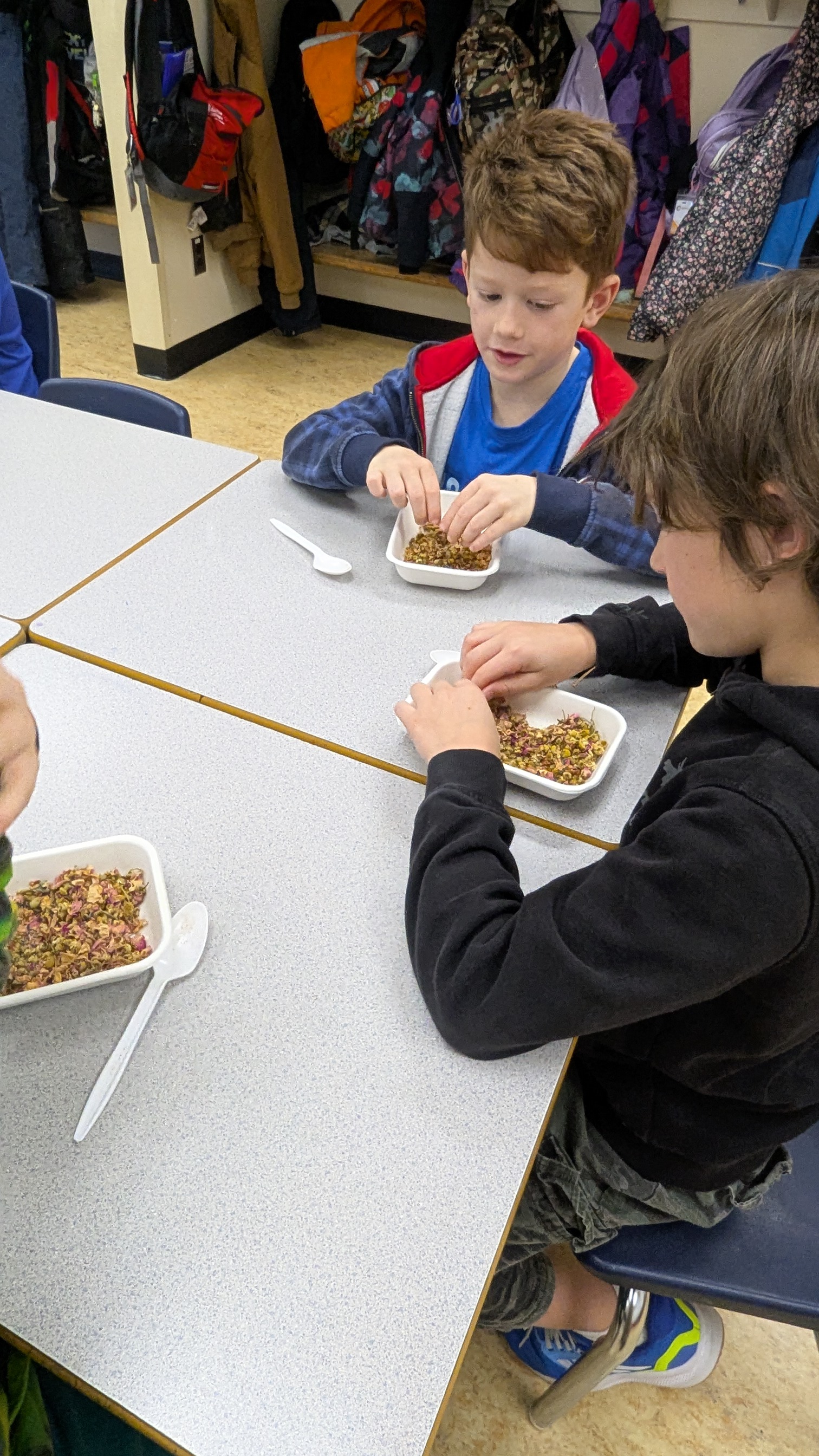 Time for Tea1 doug brown