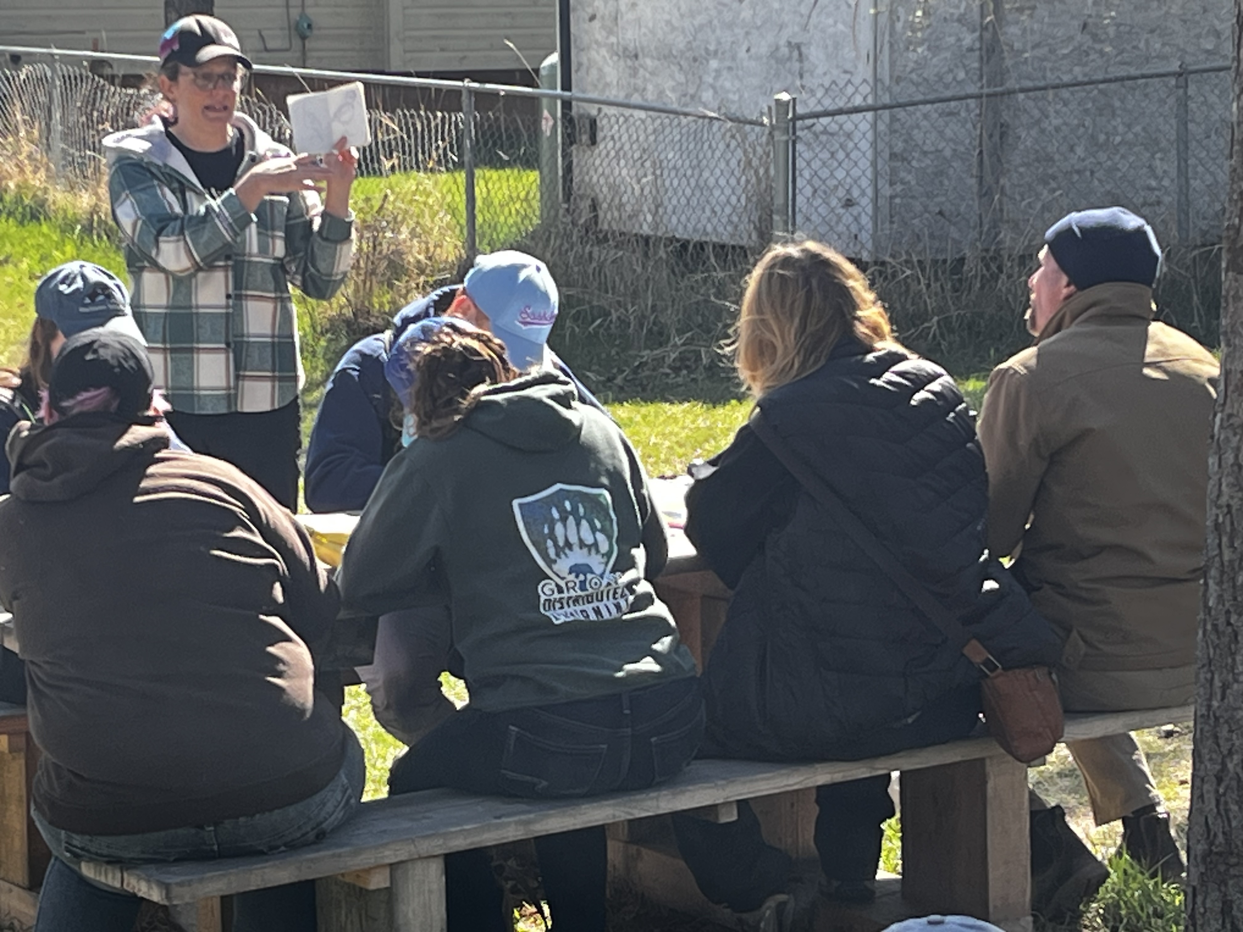 Learning about Birds holly zurak