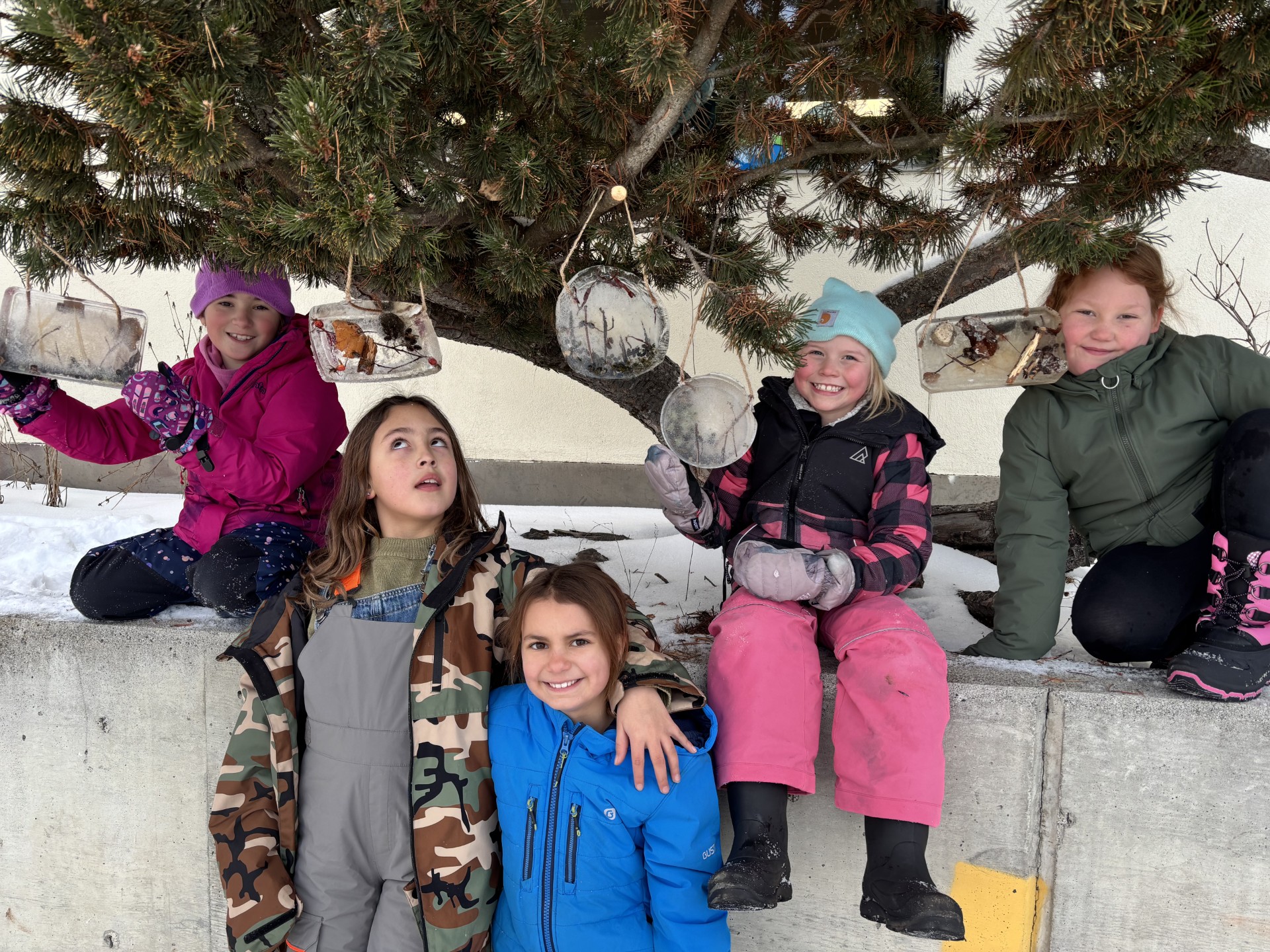 Frozen Art2 Craig Munroe