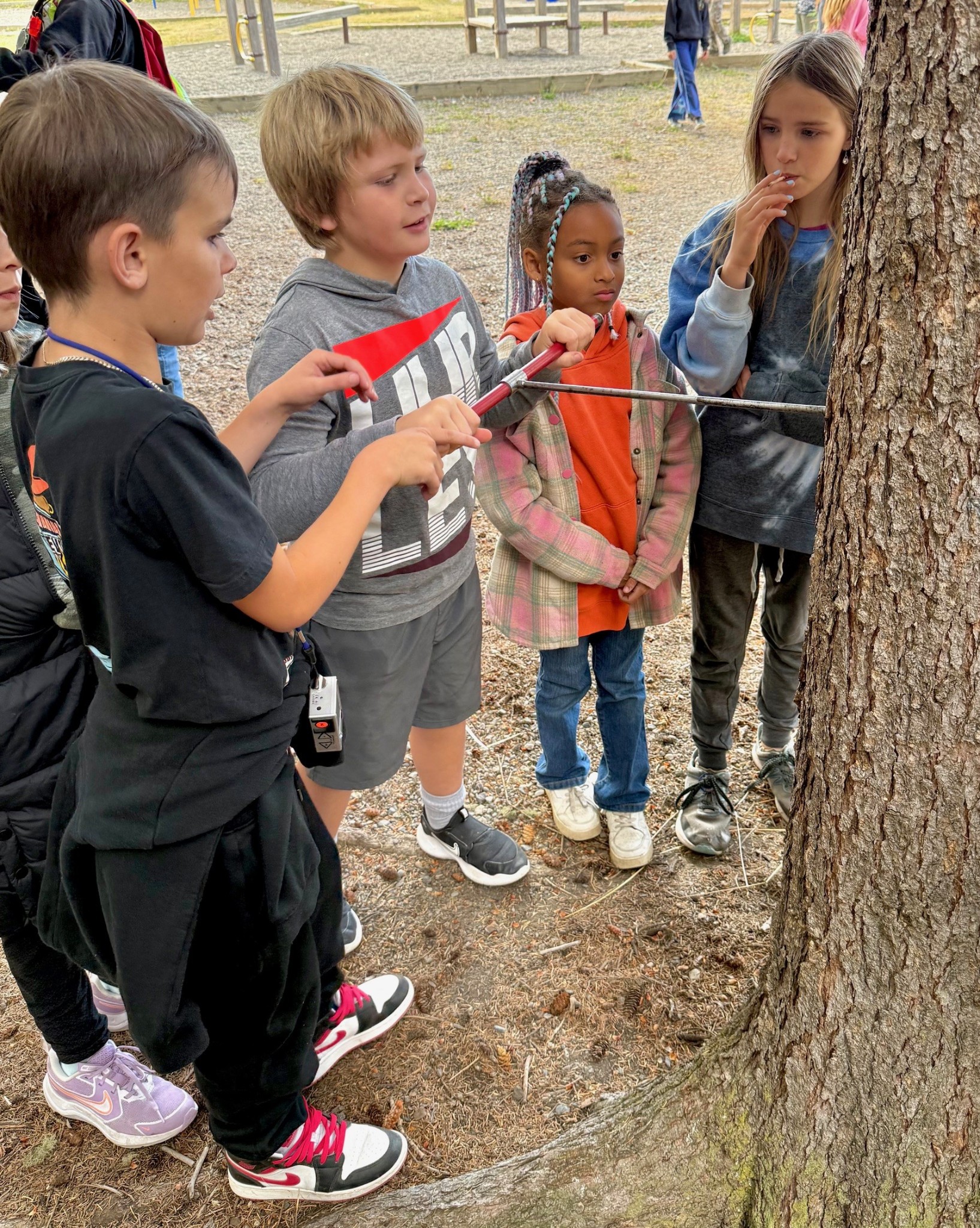 Forestry 2 Murray Helmer