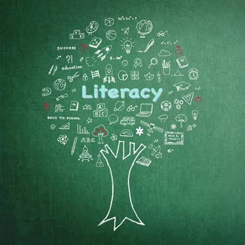 Literacy Sari Small