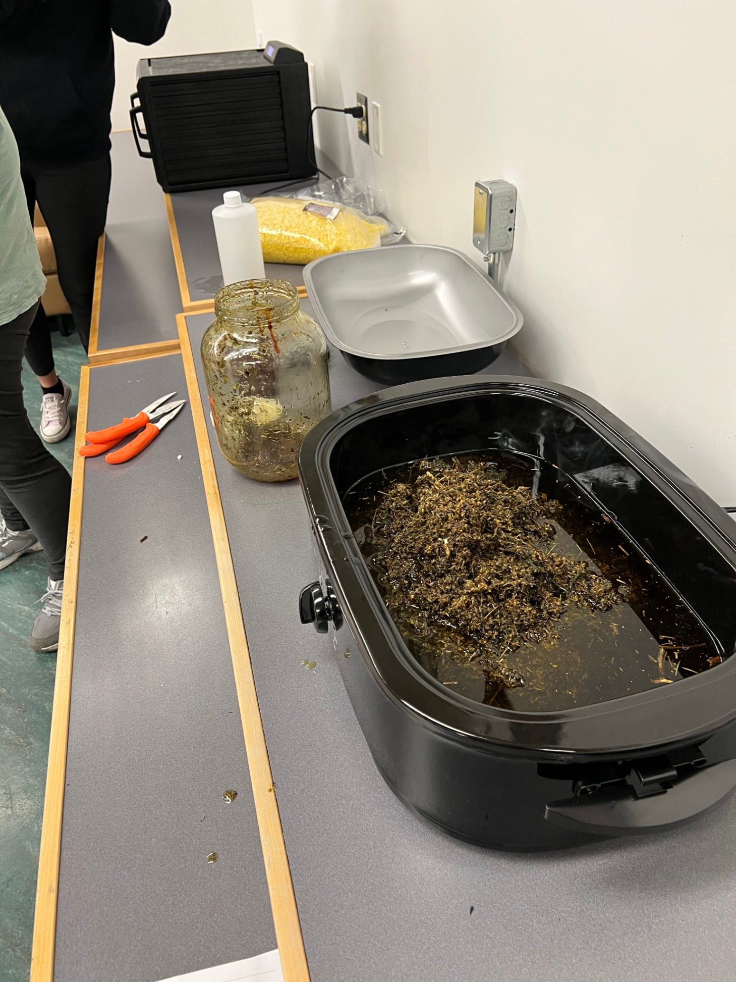 ProD Reflection Honouring Indigenous Medicines and Traditional Knowledge2