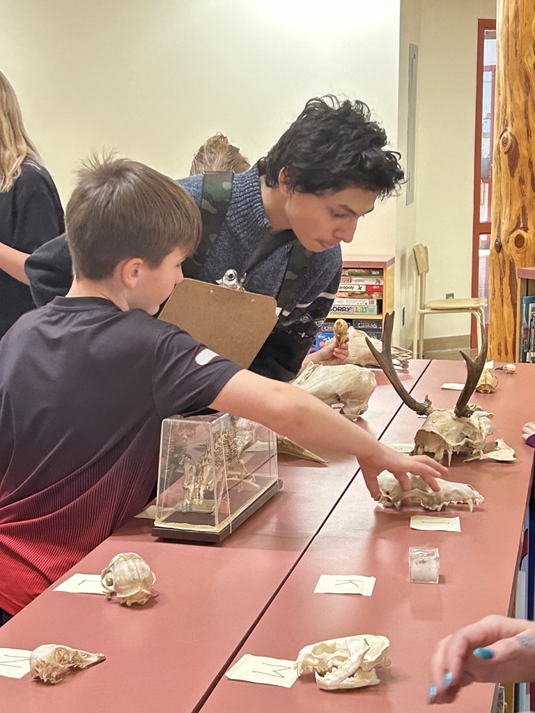 Learning with Scout Island kimberley ikebuchi