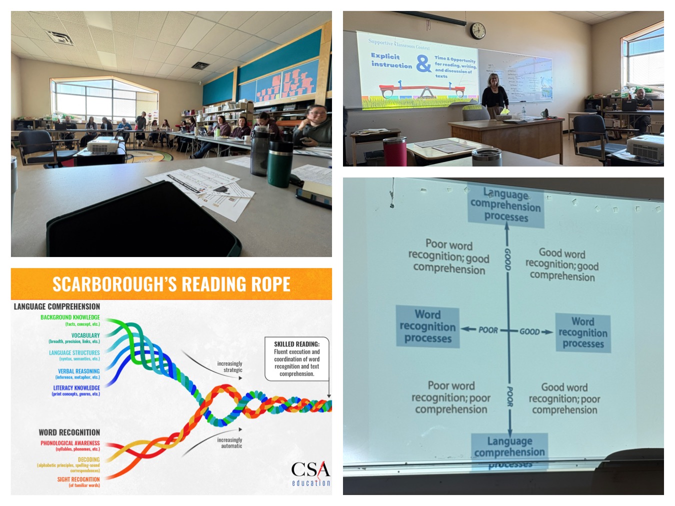 Focus on Fluency & Comprehension! marina campsall