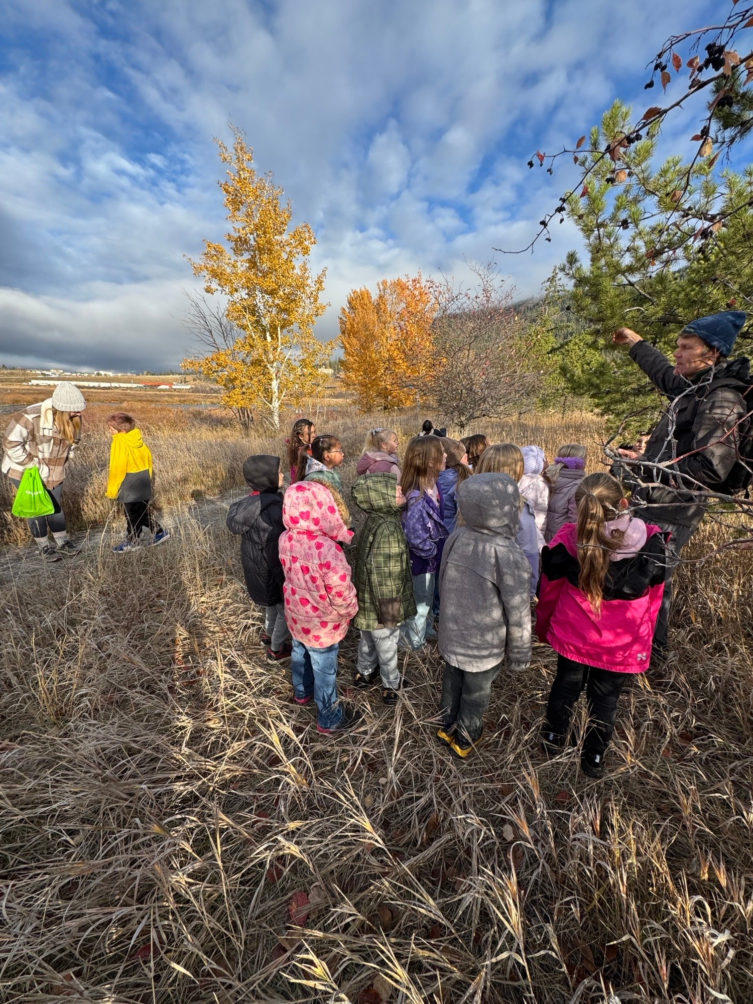 scout island dwayne benvin