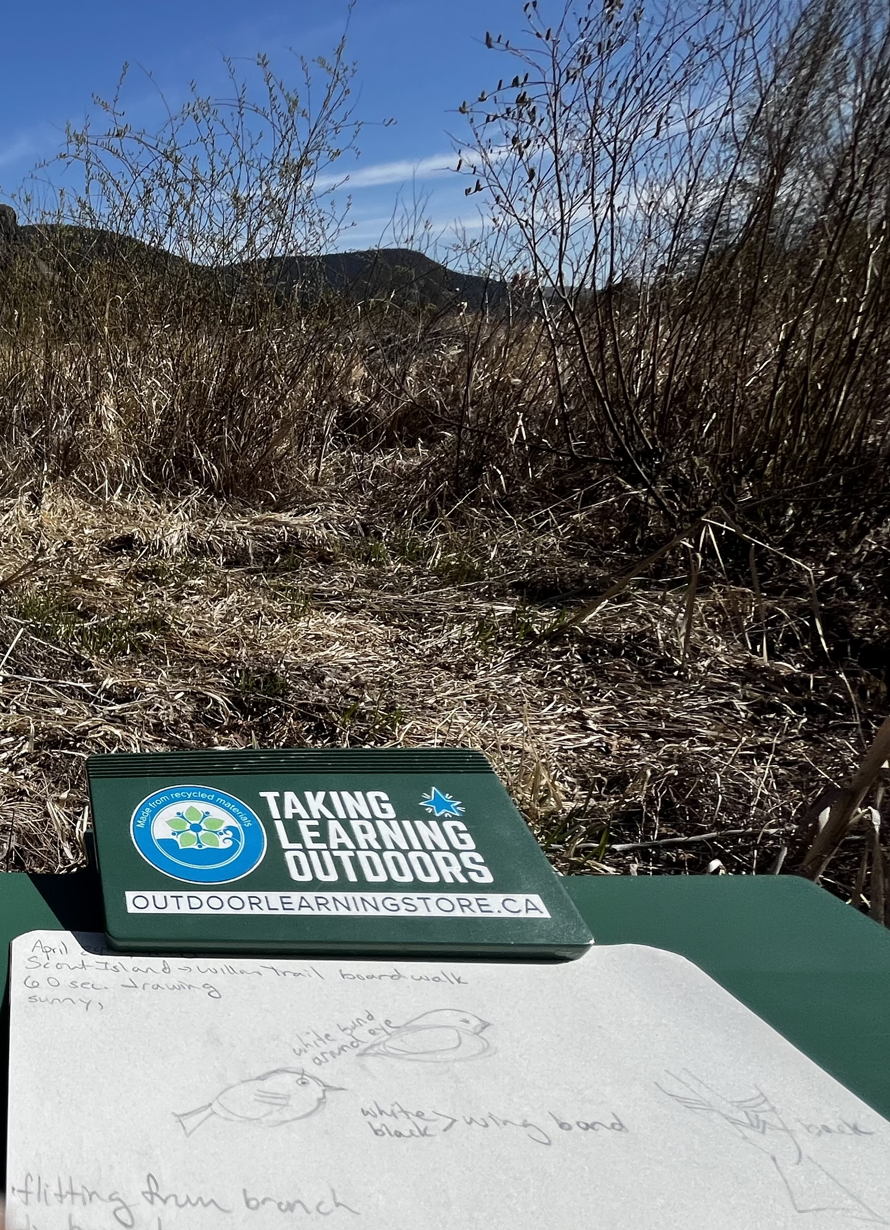 Learning about Birds1 holly zurak