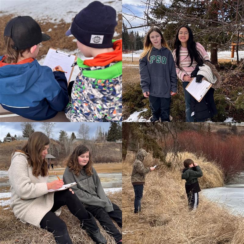 Sensory Scavenger Hunts 2 crystaldawn langton